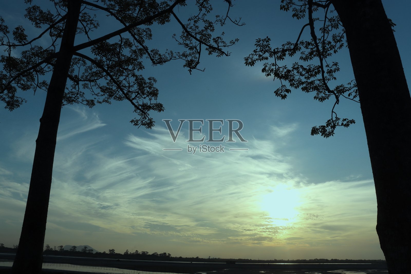 夕阳与河边的树枝照片摄影图片