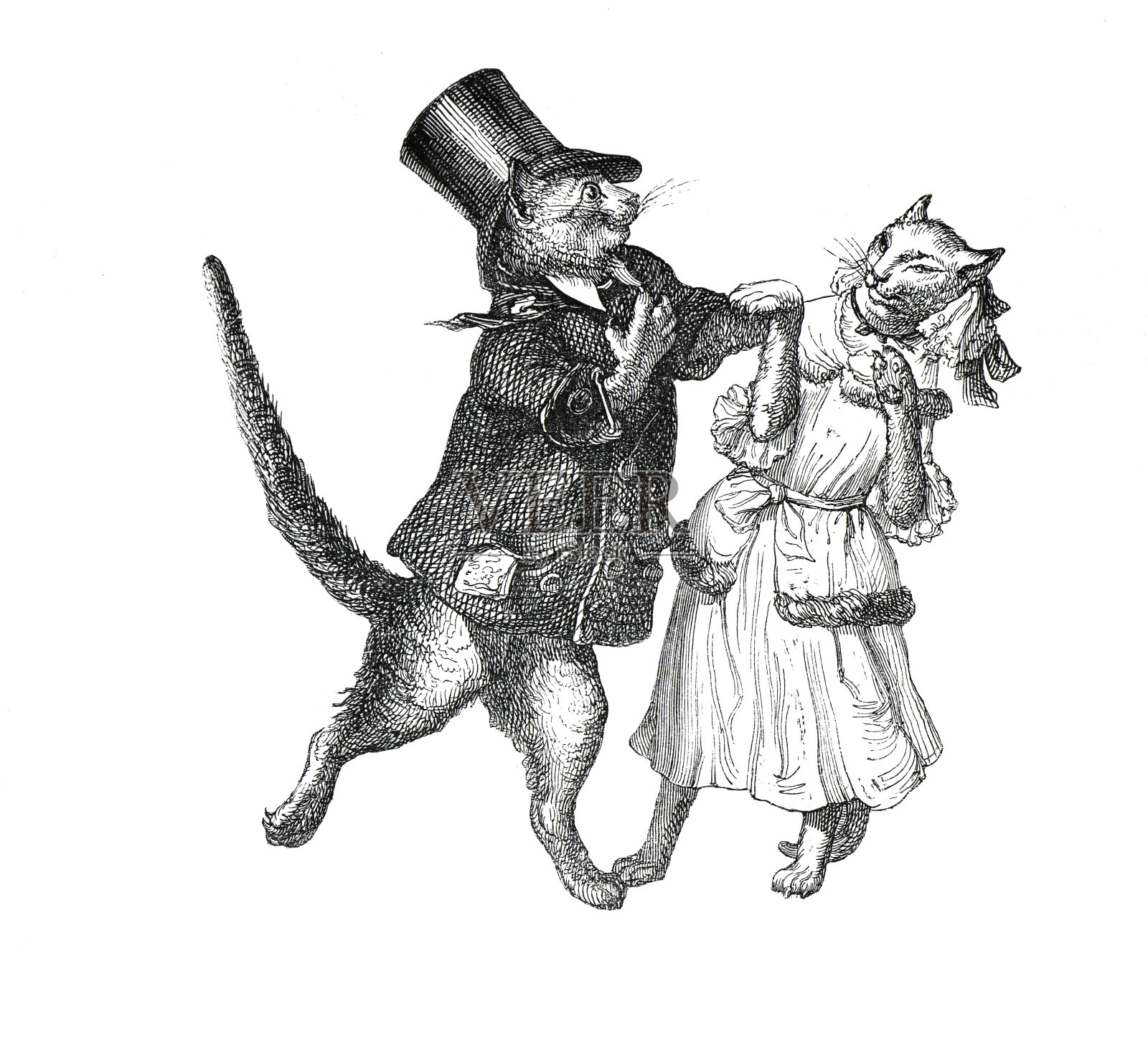 拟人化的动物。穿着讲究的跳舞猫。人性化的漂亮猫。精英的猫。老式的人类半机械人动物。手绘复古雕刻人性化的动物。塑造动物形象。手绘插图。cyborg的动物。没有人工智能。插画图片素材