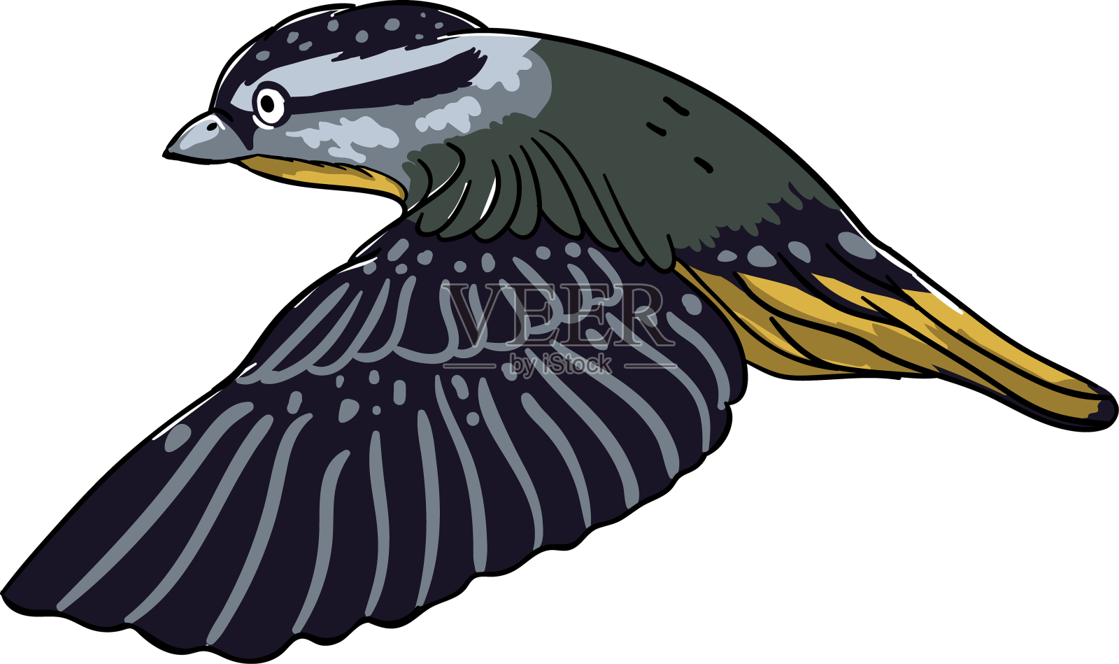 逼真的鸟飞设计元素图片