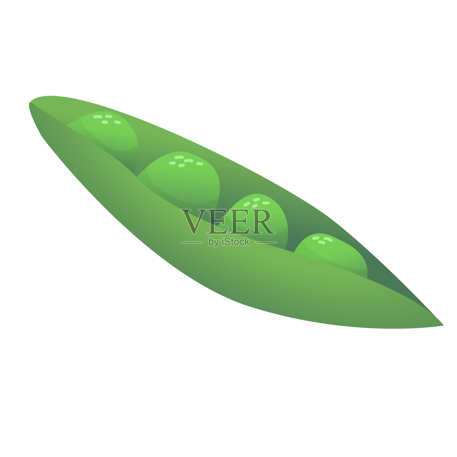 卡通绿豌豆。青豆荚。打开豆荚。插画图片素材