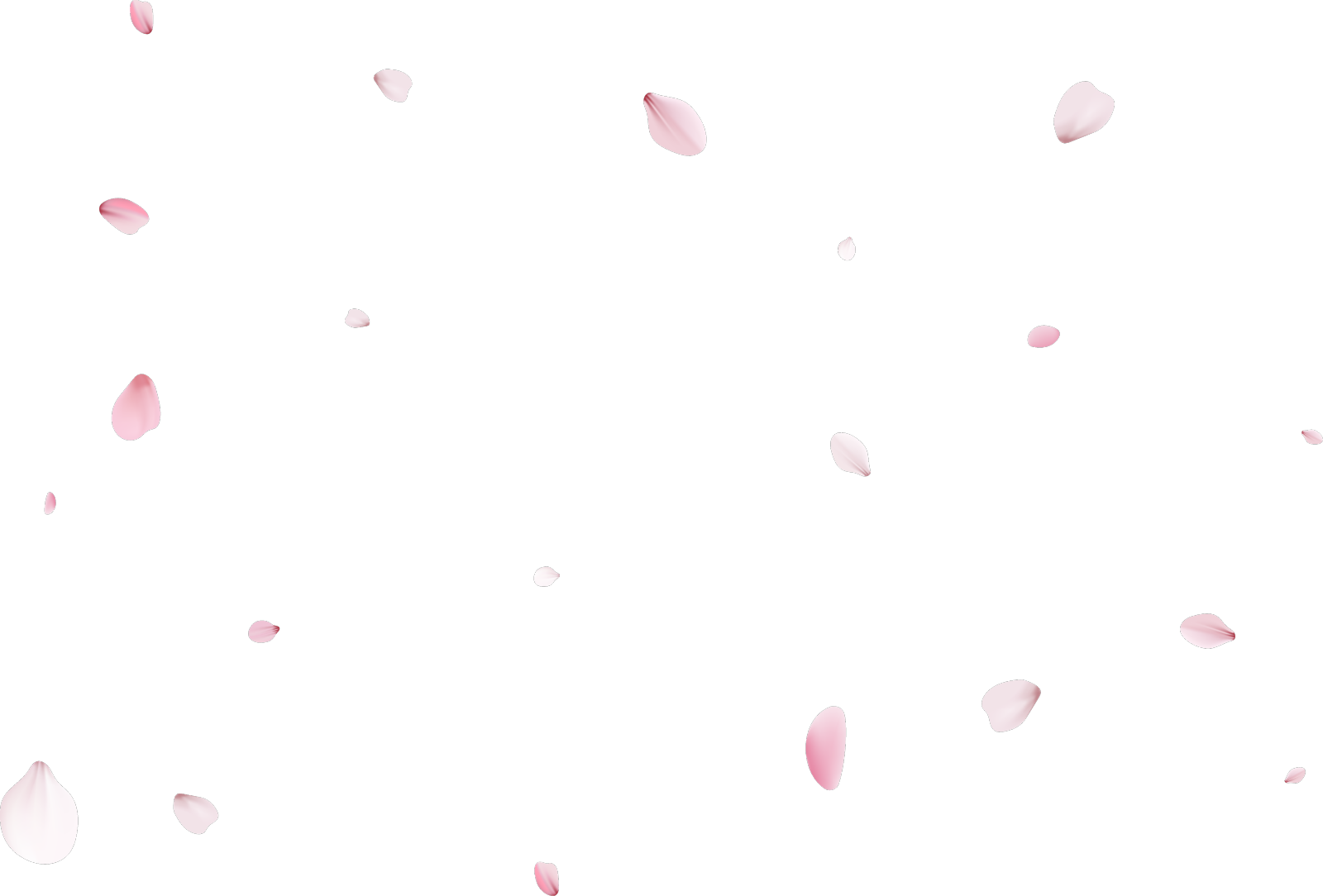 樱花花瓣逼真设计元素图片