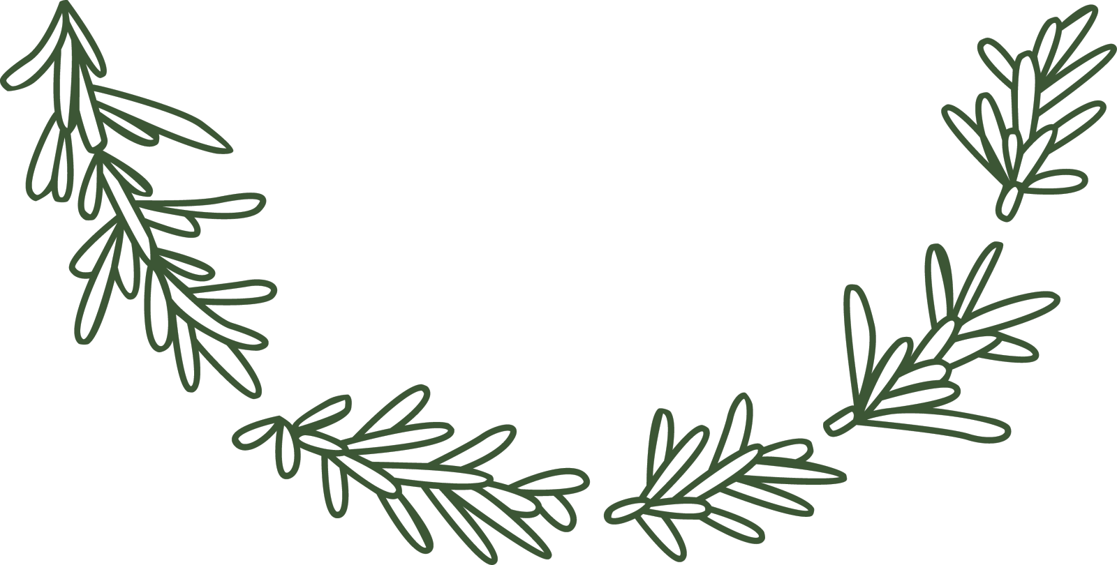 半圆形茎，叶有线条设计元素图片