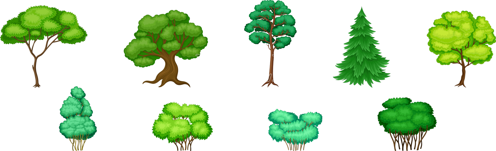 不同的树，树干和绿色的树冠设计元素图片