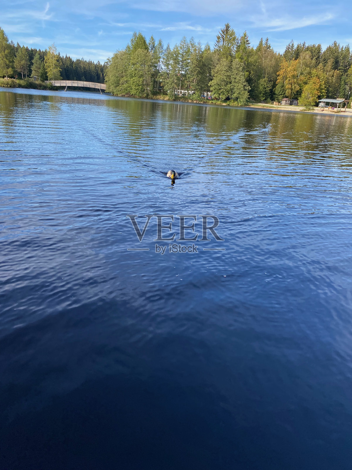 费希特尔贝格附近费希特尔贝格的费希特尔湖照片摄影图片