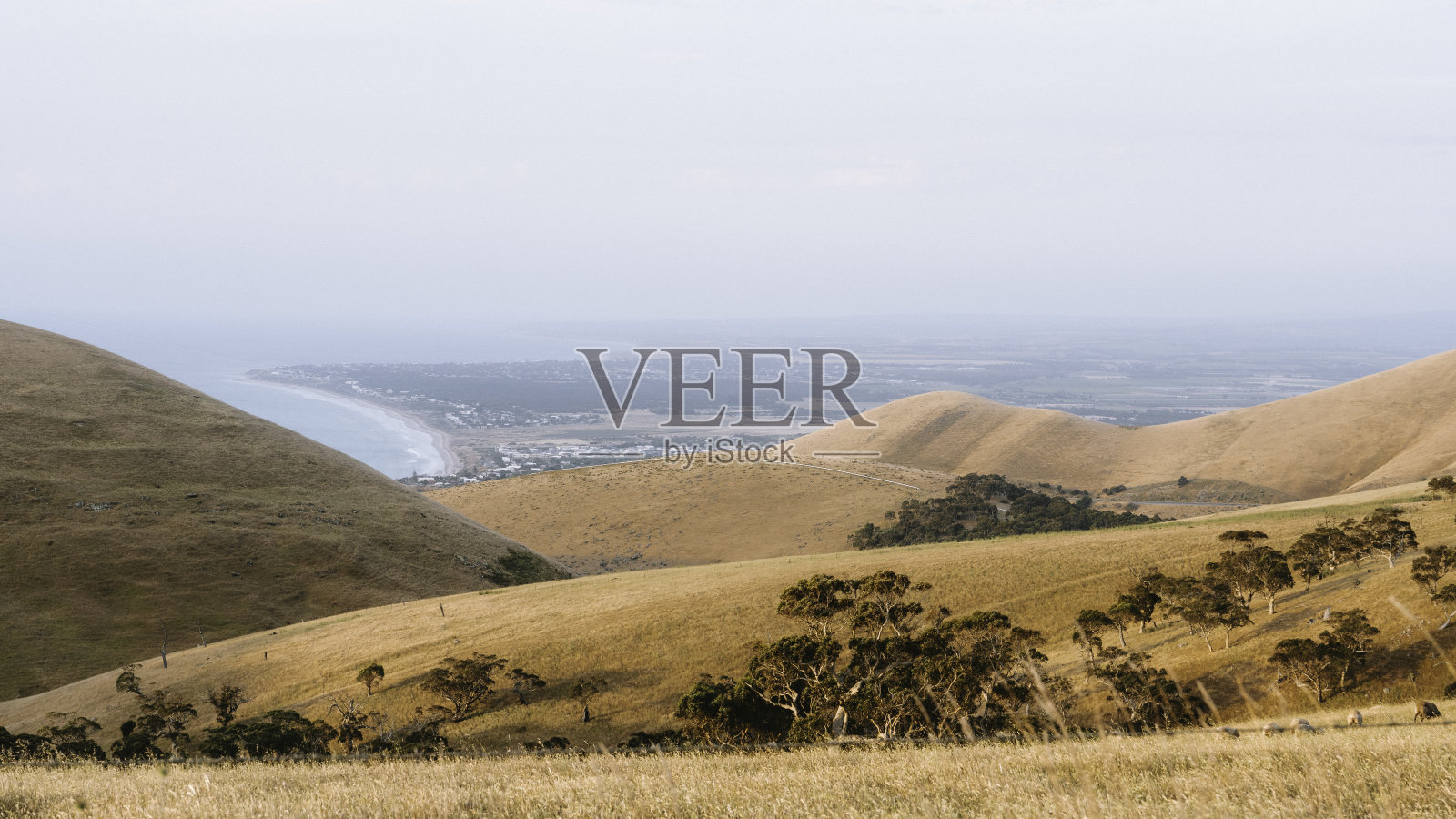 Myponga希拉照片摄影图片