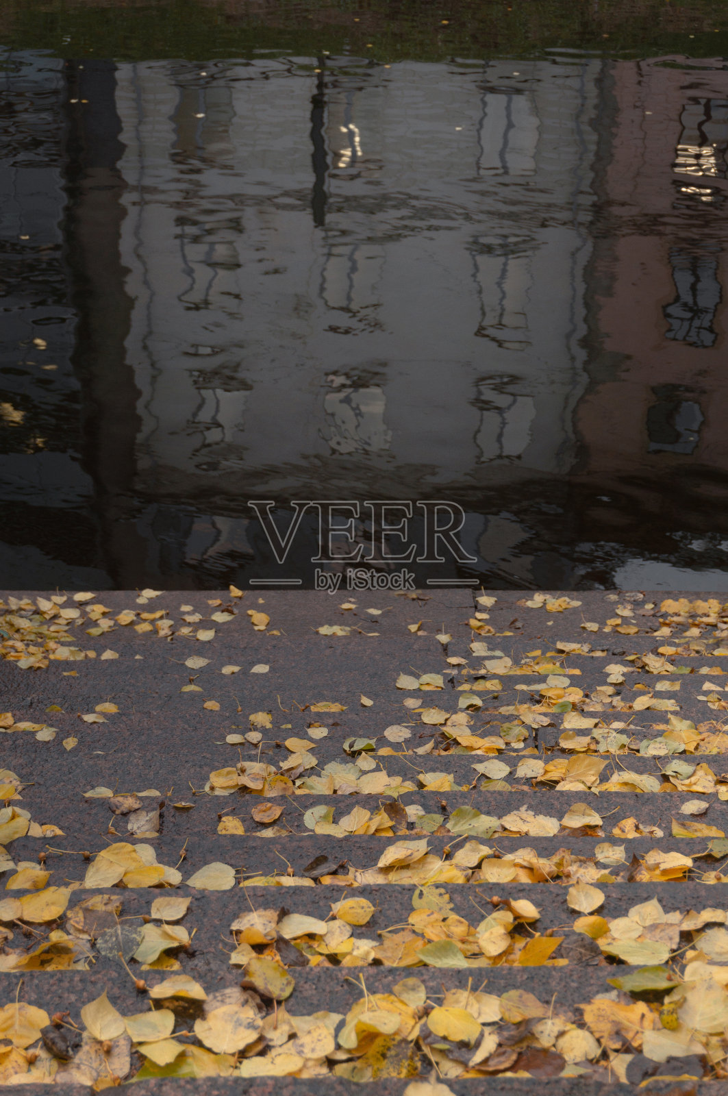 房屋倒映在水中。堤岸台阶上的黄色树叶照片摄影图片