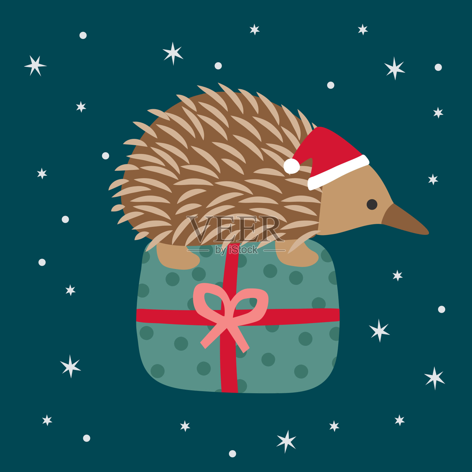 可爱向量针鼹刺猬圣诞节圣诞老人帽子礼物快乐快乐星绿色红色澳大利亚动物插画图片素材