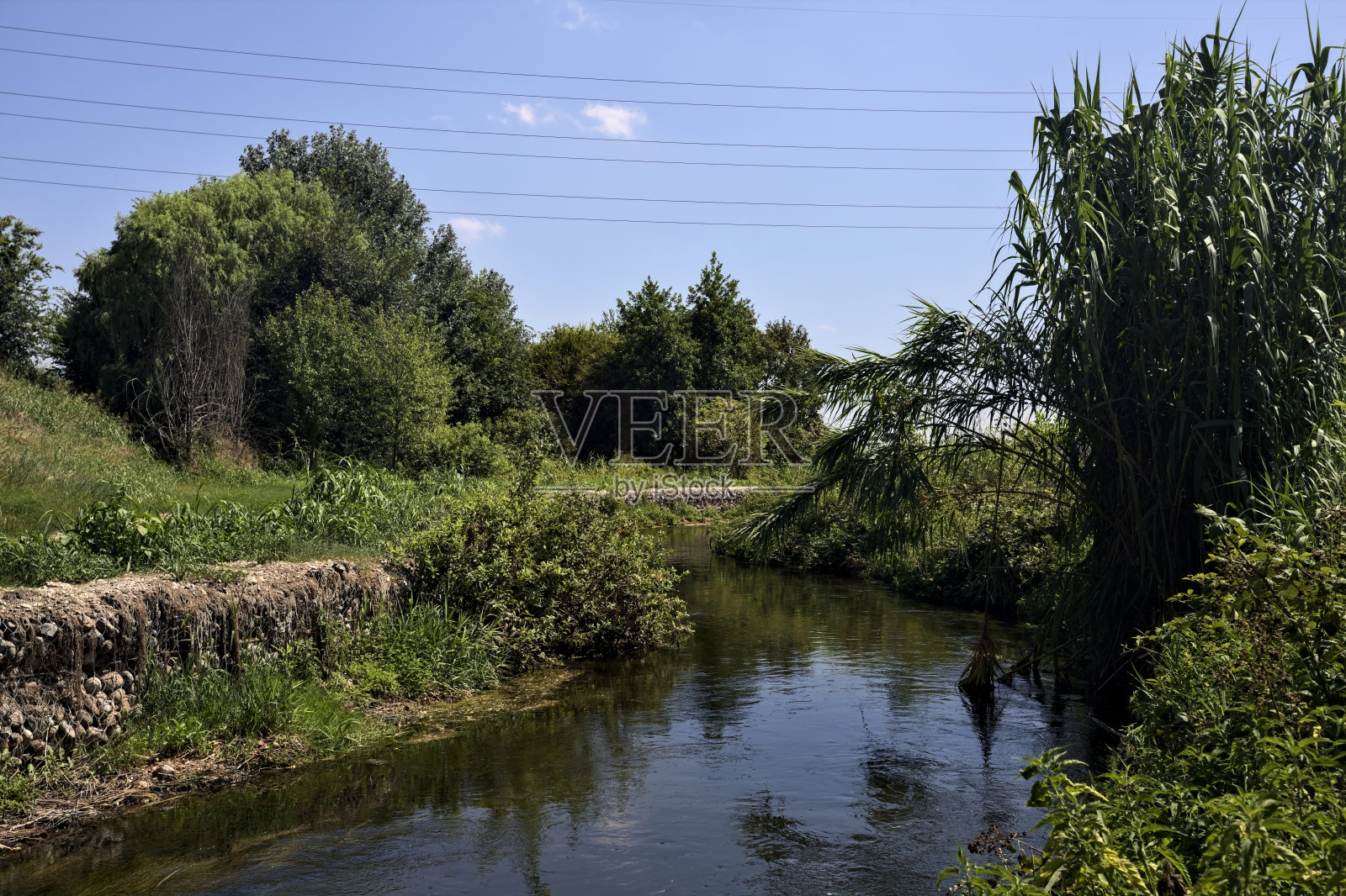 阳光明媚的一天，在意大利乡村，一条泥泞的小路旁，小溪边是芦苇和树木，它们在水中的倒影照片摄影图片