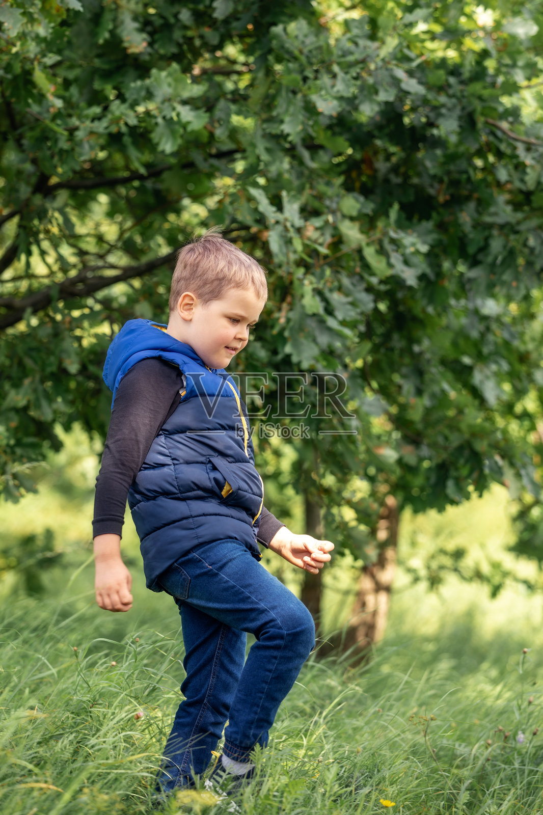 快乐的孩子走在高高的草丛中，在绿色的大自然中，背景是橡树叶照片摄影图片