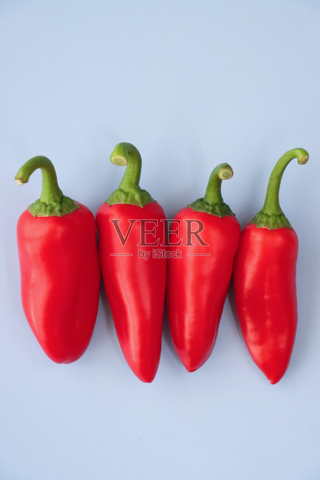 一排红色迷你辣椒(Capsicum annuum)的特写图像，蓝色背景，高架视图，复制空间照片摄影图片