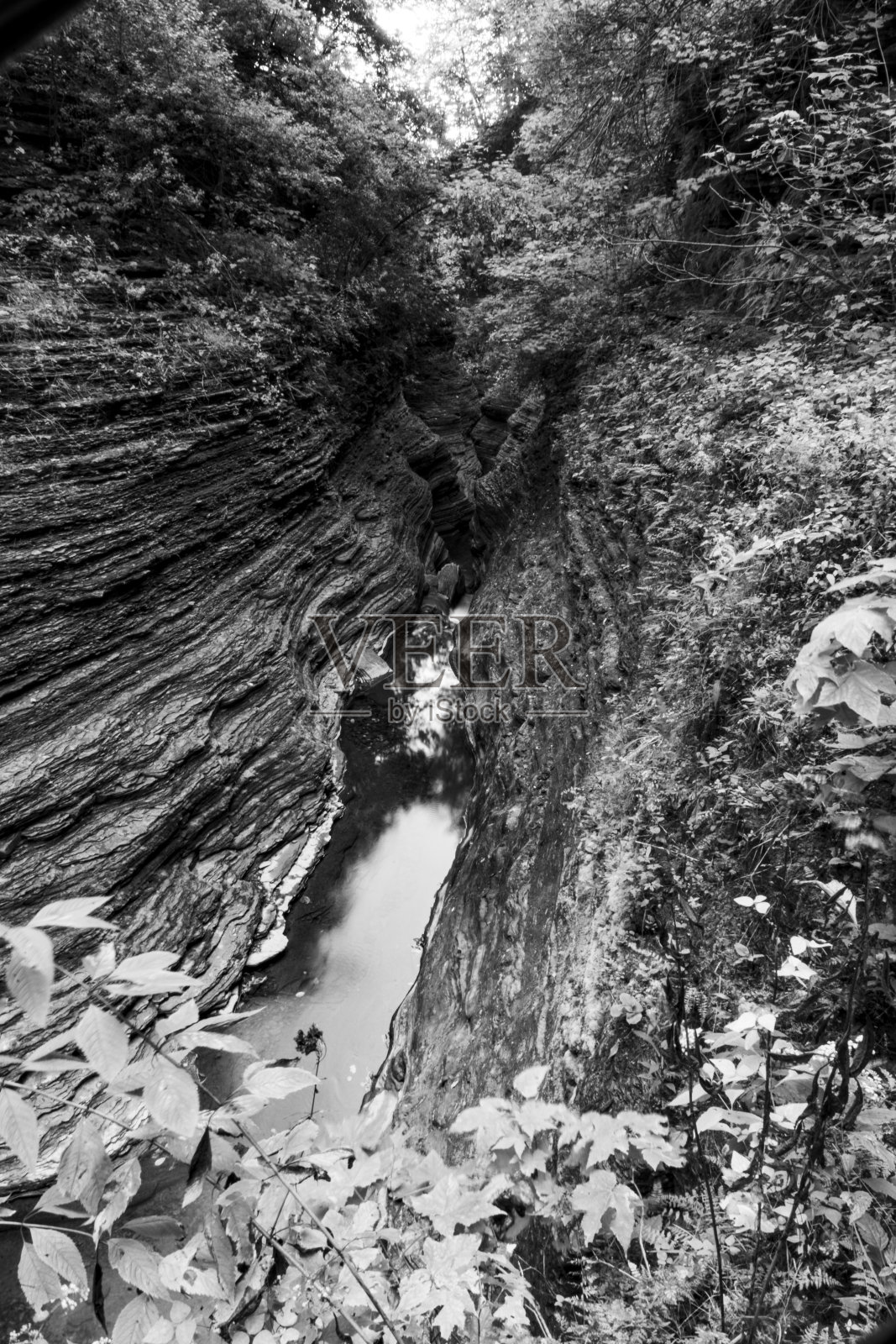 沃特金斯格伦州立公园的秋天照片摄影图片