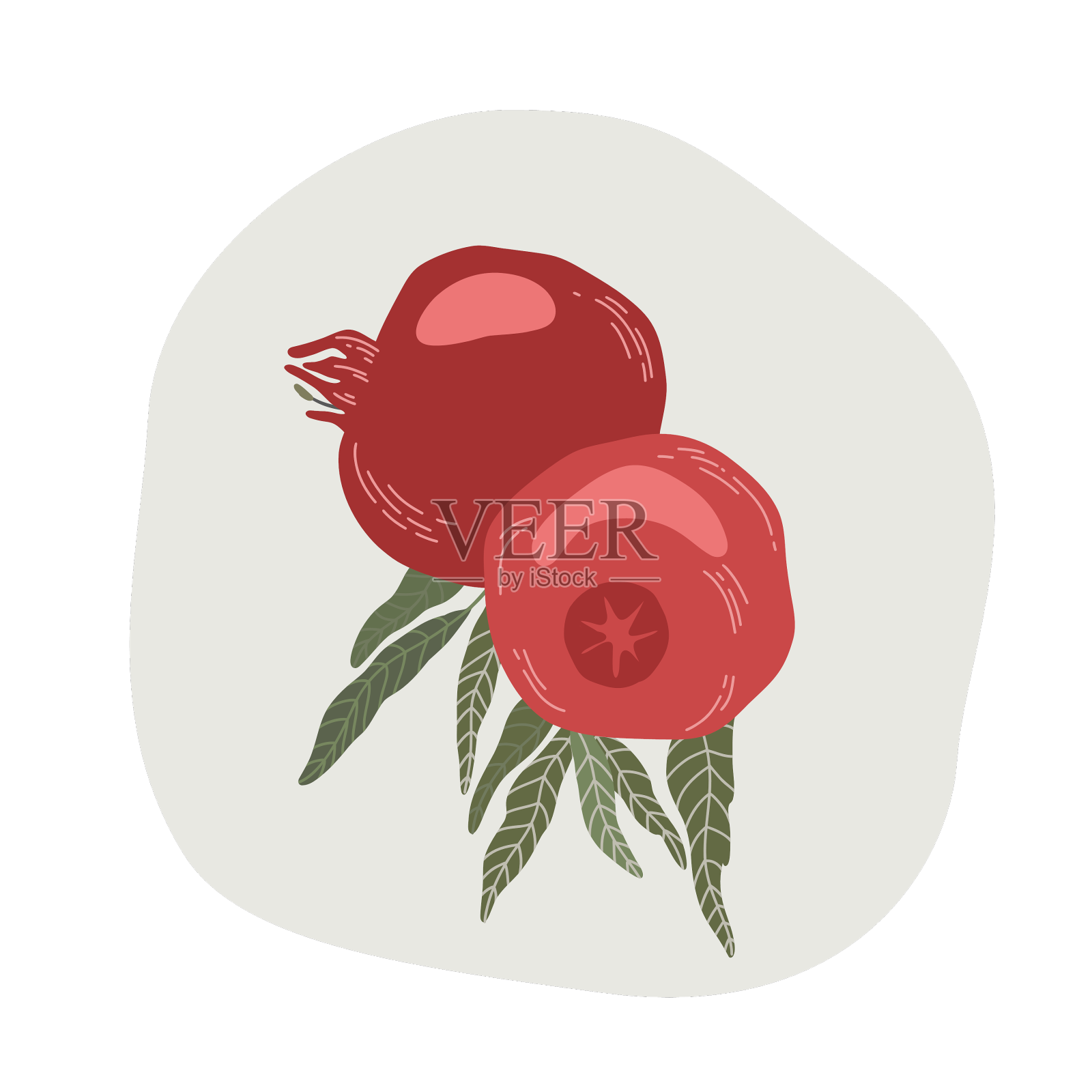 石榴枝上图形石榴红的果实设计元素图片