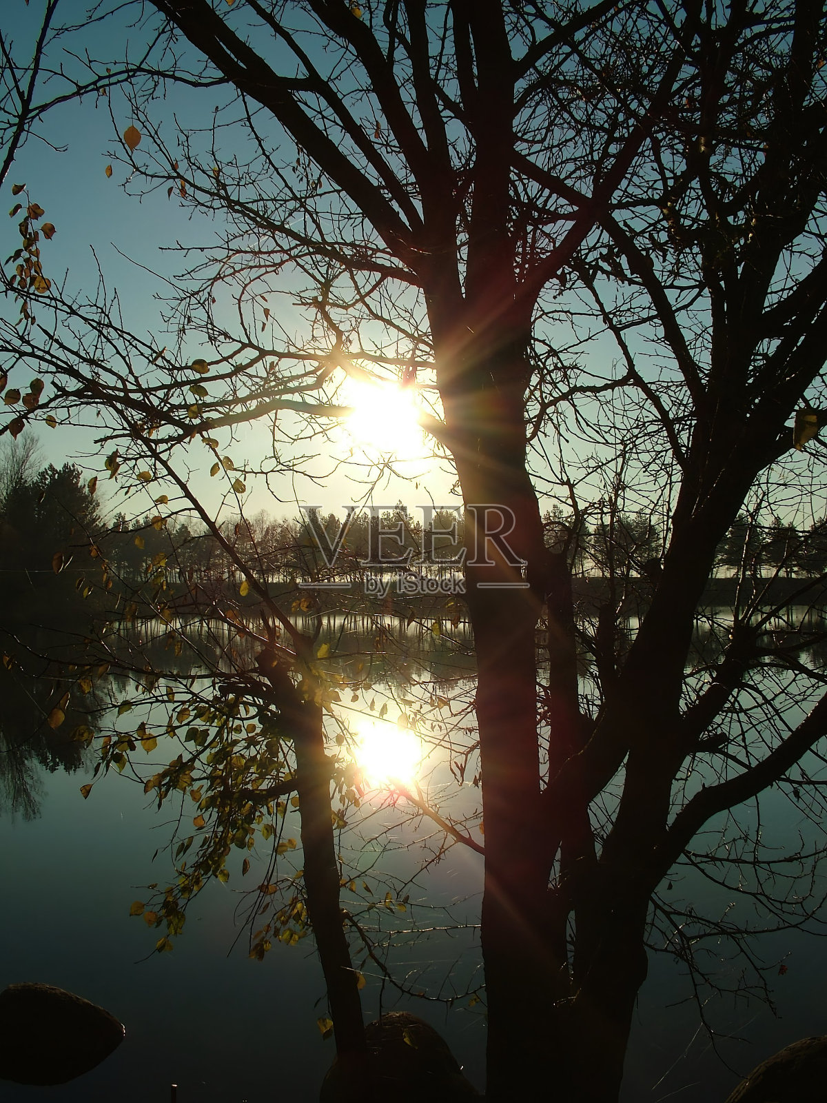 湖泊或池塘的景观野生动物，水面和树木的倒影。秋日的傍晚照片摄影图片