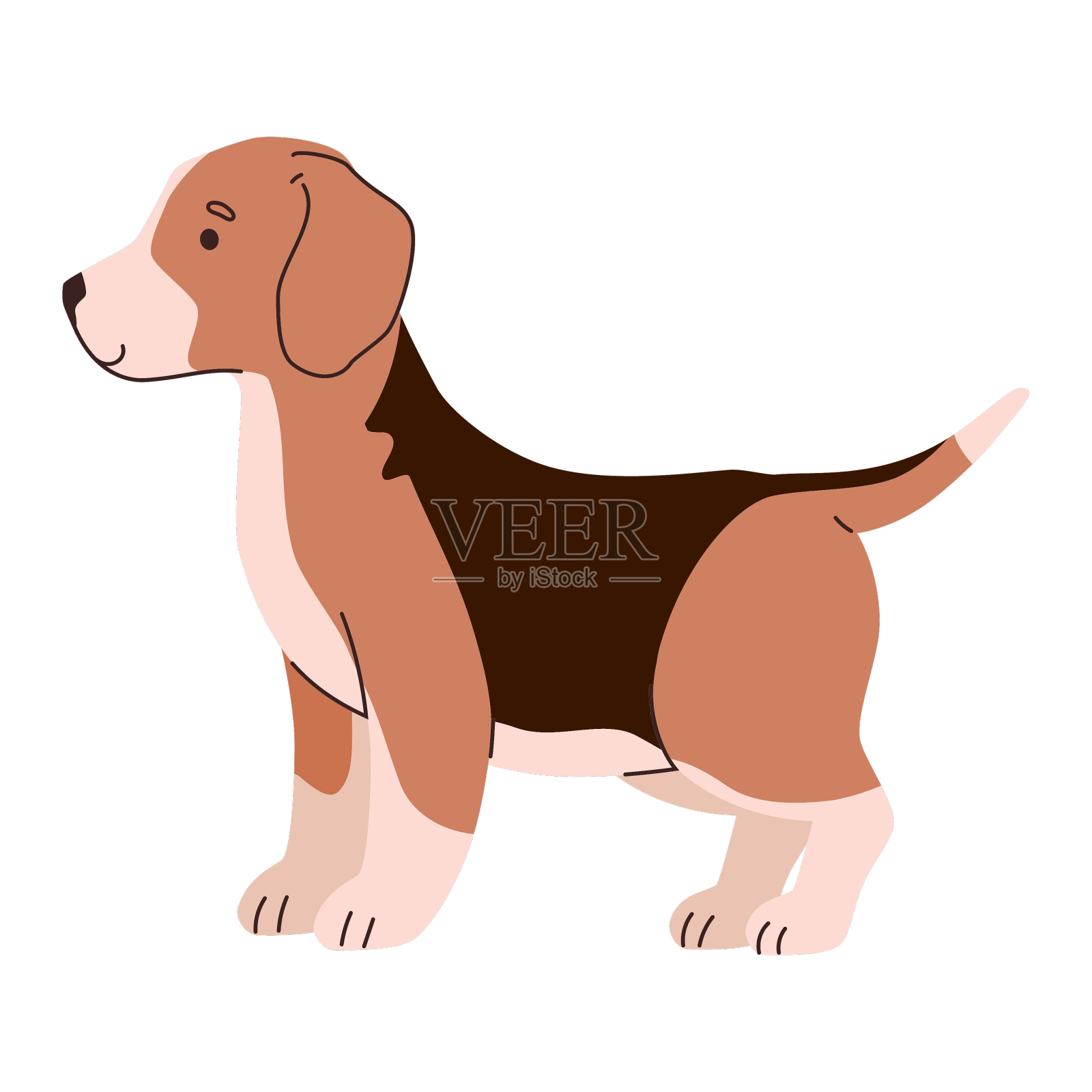 狗的品种比格尔设计元素图片