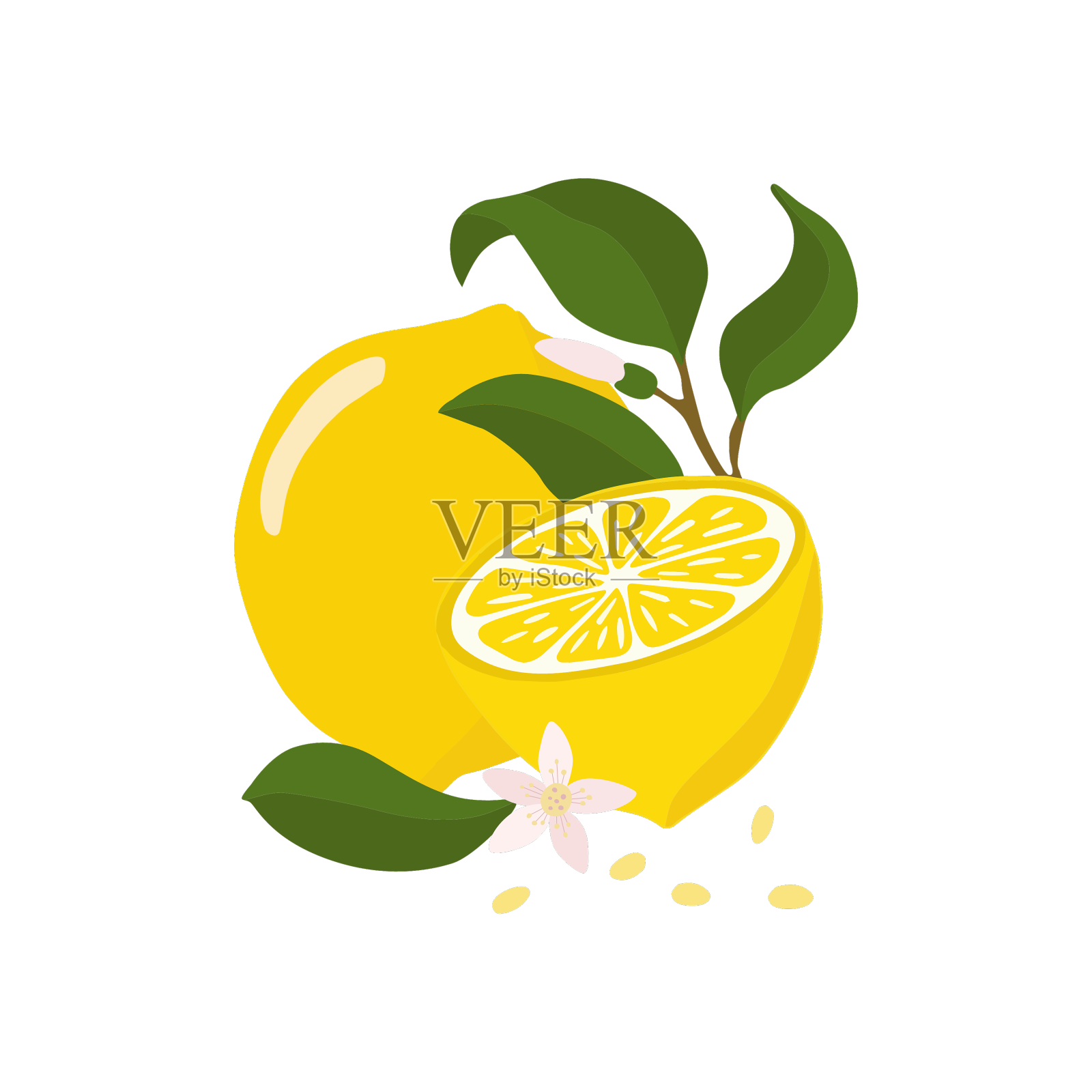 柠檬和柠檬的一半，一根小树枝和一朵花设计元素图片