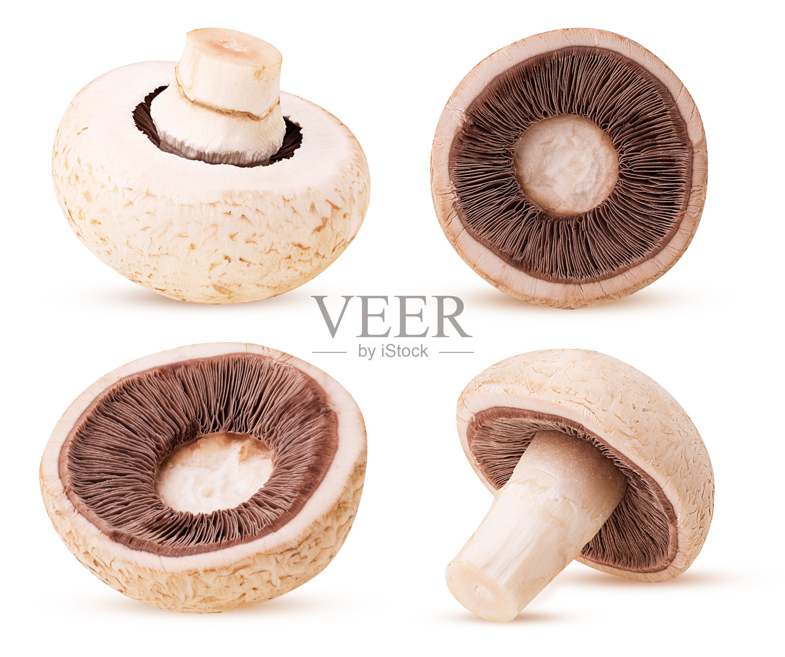 设置香菇香菇照片摄影图片