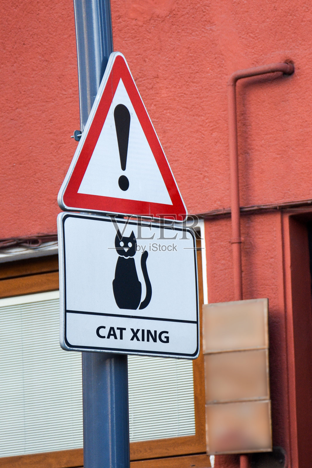 注意猫过马路的标志。猫x型让行标志，上面有一只猫。照片摄影图片