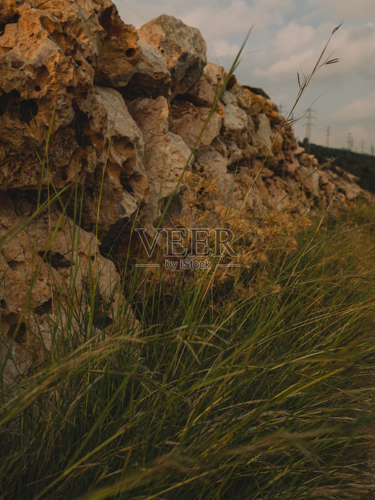 草和石头照片摄影图片