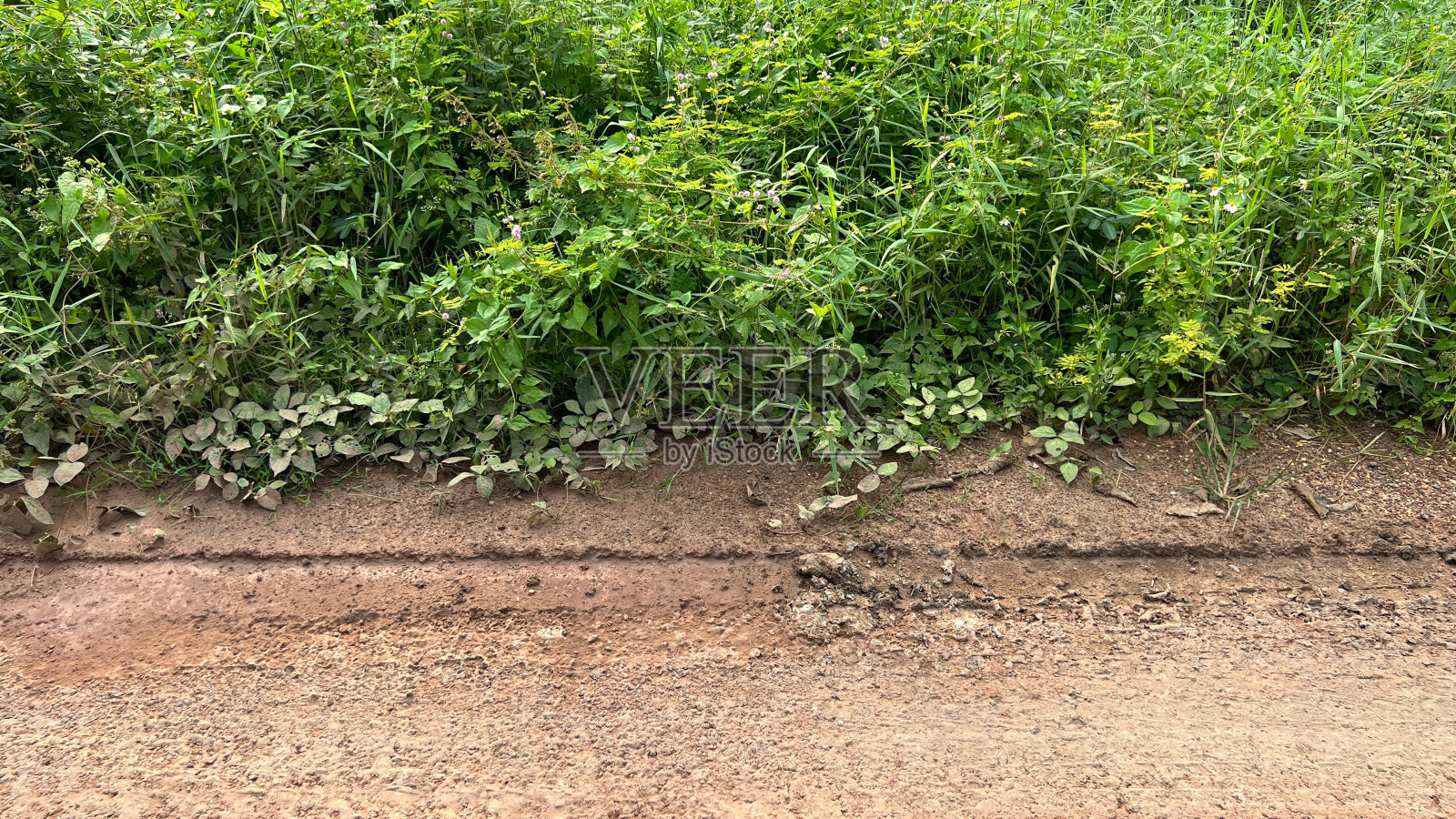 车轮痕迹照片摄影图片