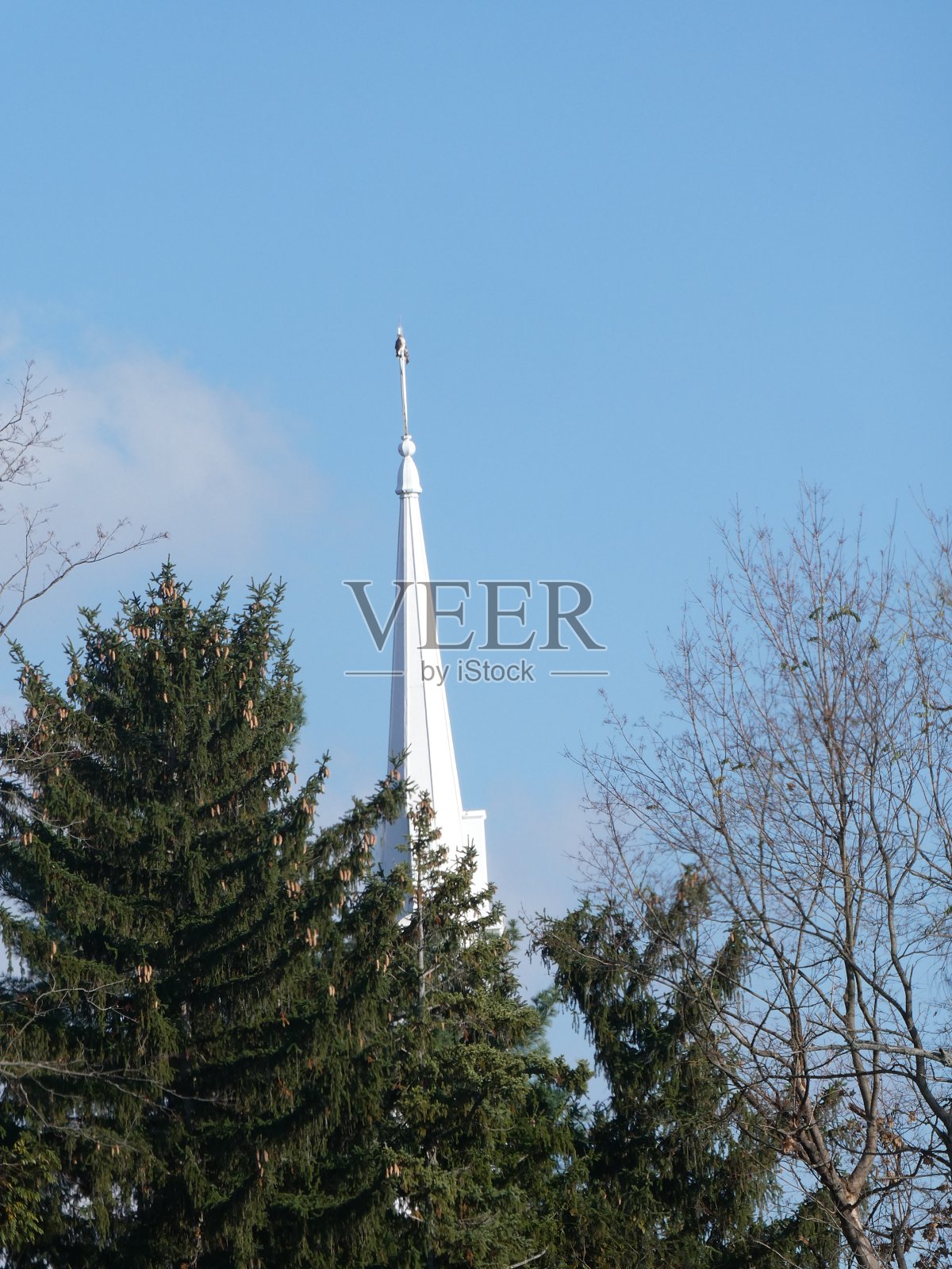 白色教堂的尖顶耸立在树林之上照片摄影图片