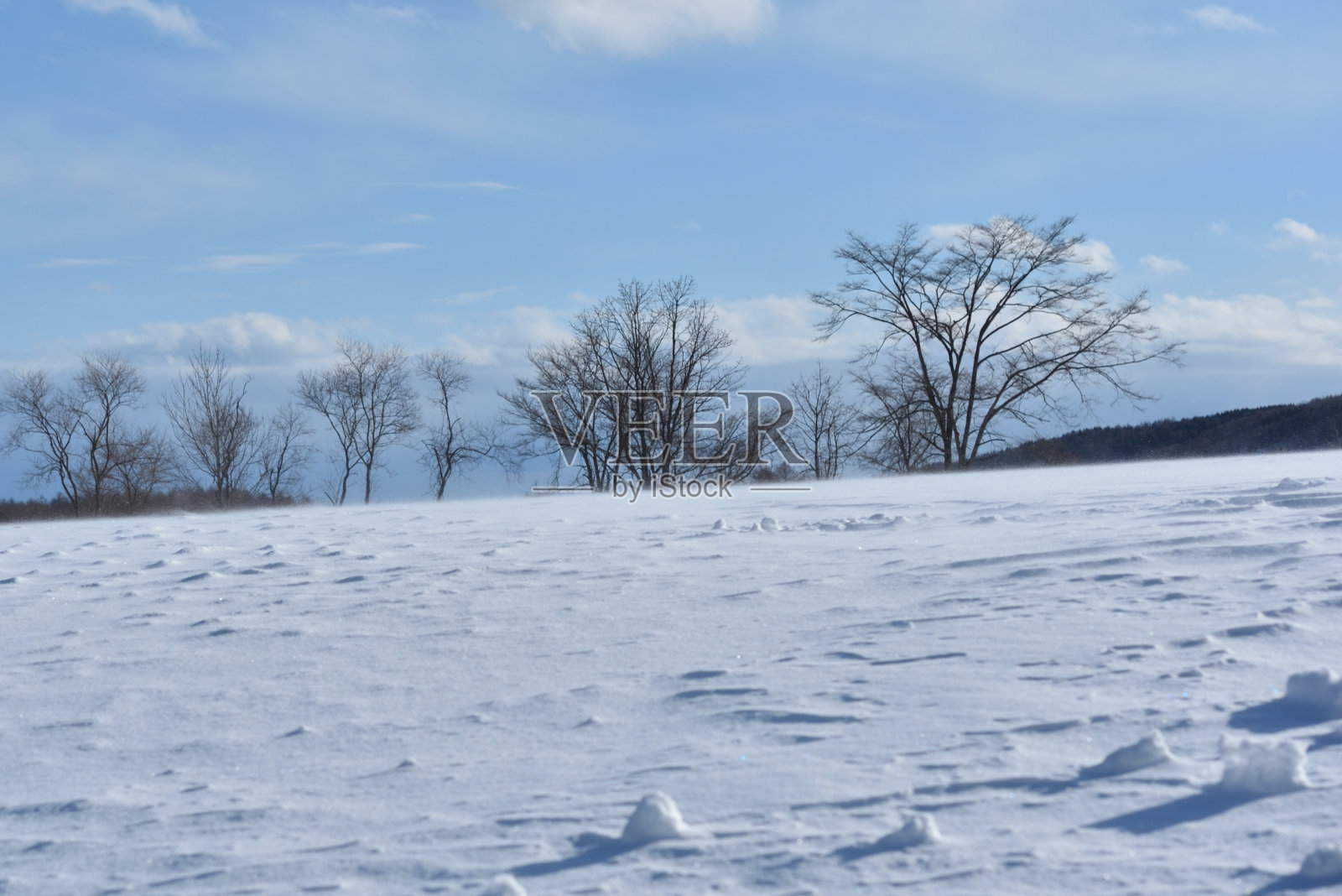 北海道钏路冬季平坦的田野照片摄影图片