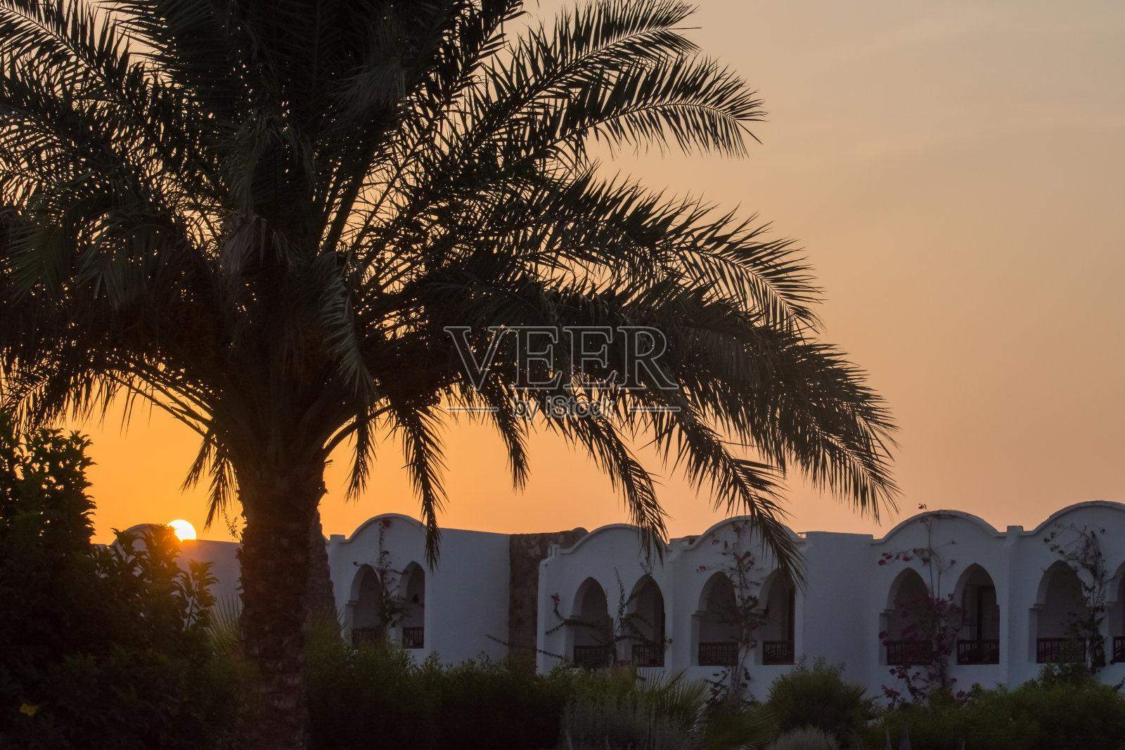夕阳下度假胜地的大棕榈树和房子照片摄影图片