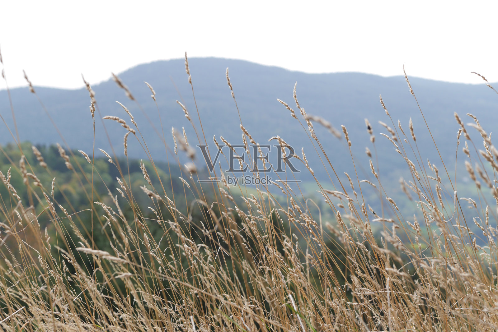 孚日山脉的巴格内勒山脉-法国照片摄影图片