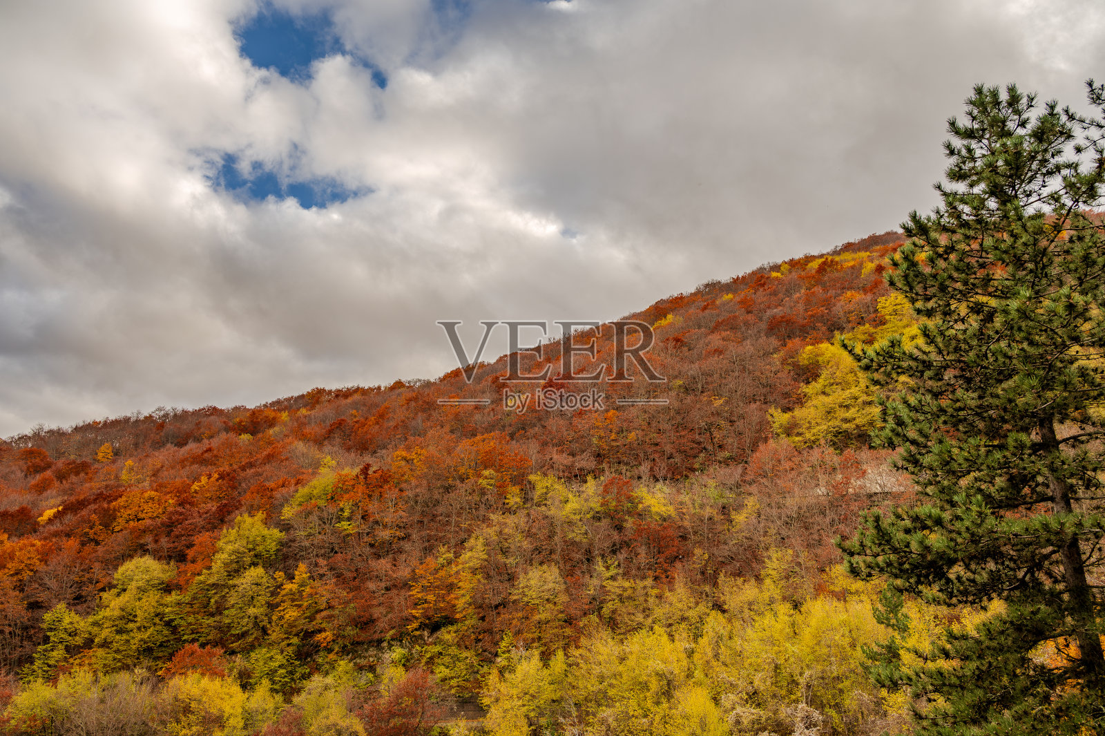 意大利阿布鲁佐。壮观的秋景。树叶照片摄影图片