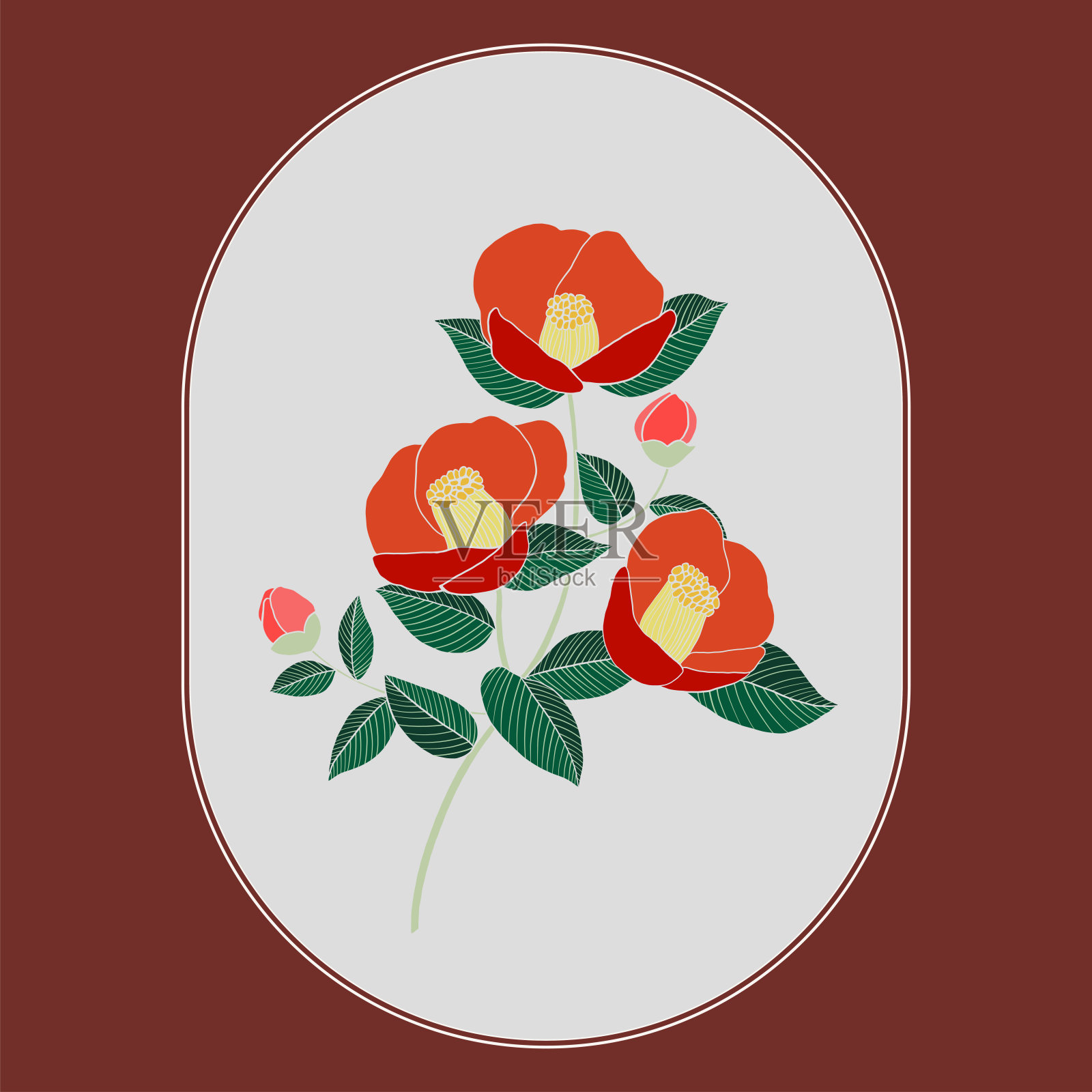 山茶花叶植物画。复古风格矢量插图。花卉邀请卡设计。插画图片素材