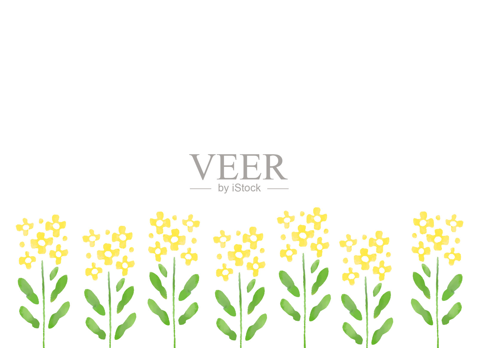 水彩风格的油菜花背景插图插画图片素材