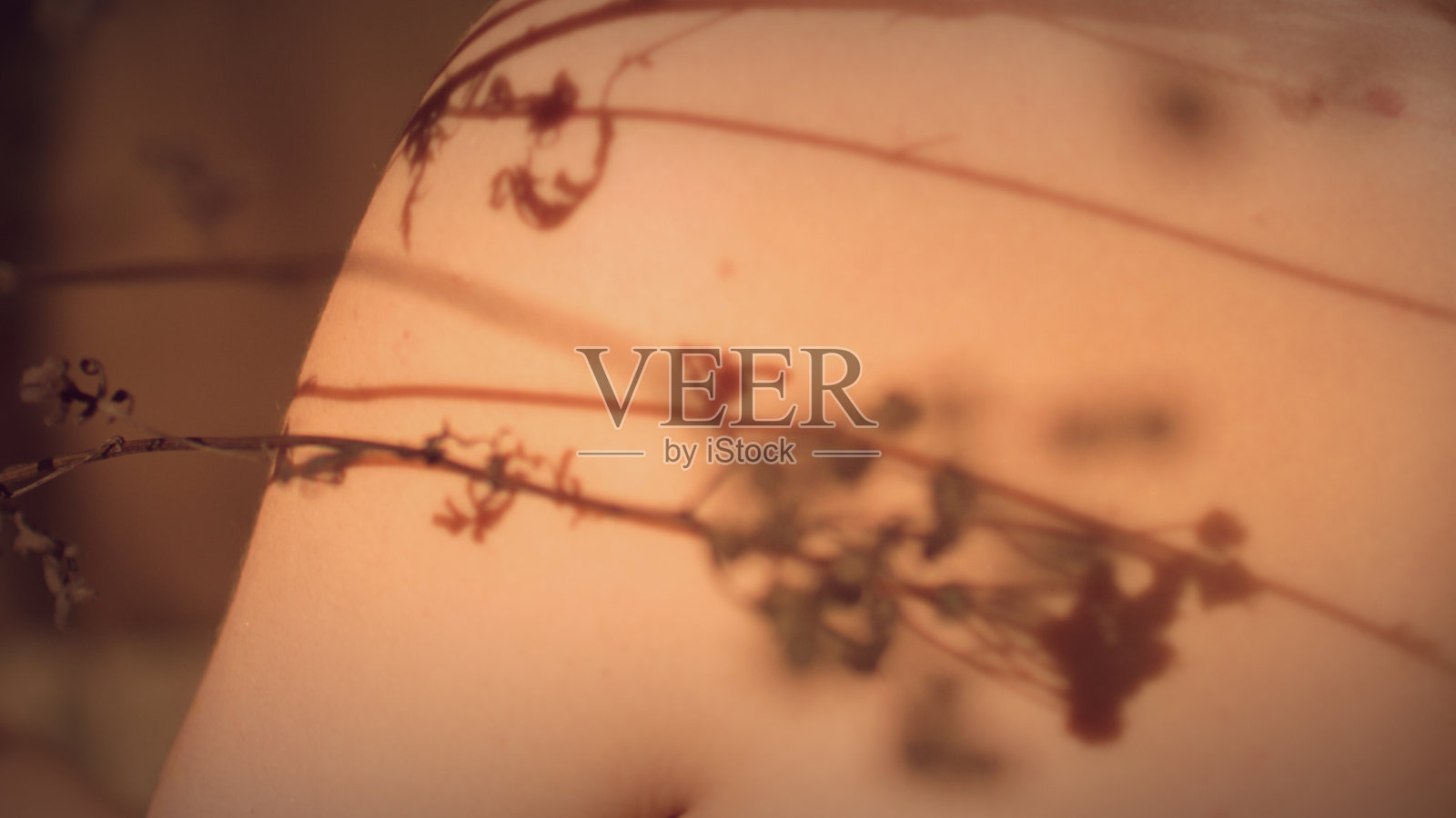 女性皮肤上抽象的花朵阴影照片摄影图片