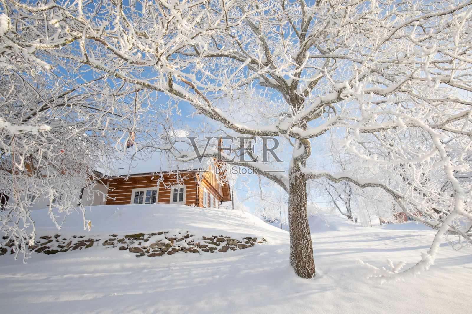 雪景中的木屋
令人难以置信的冬季景观，在寒冷的早晨，明亮的阳光下，白雪覆盖的树木。照片摄影图片