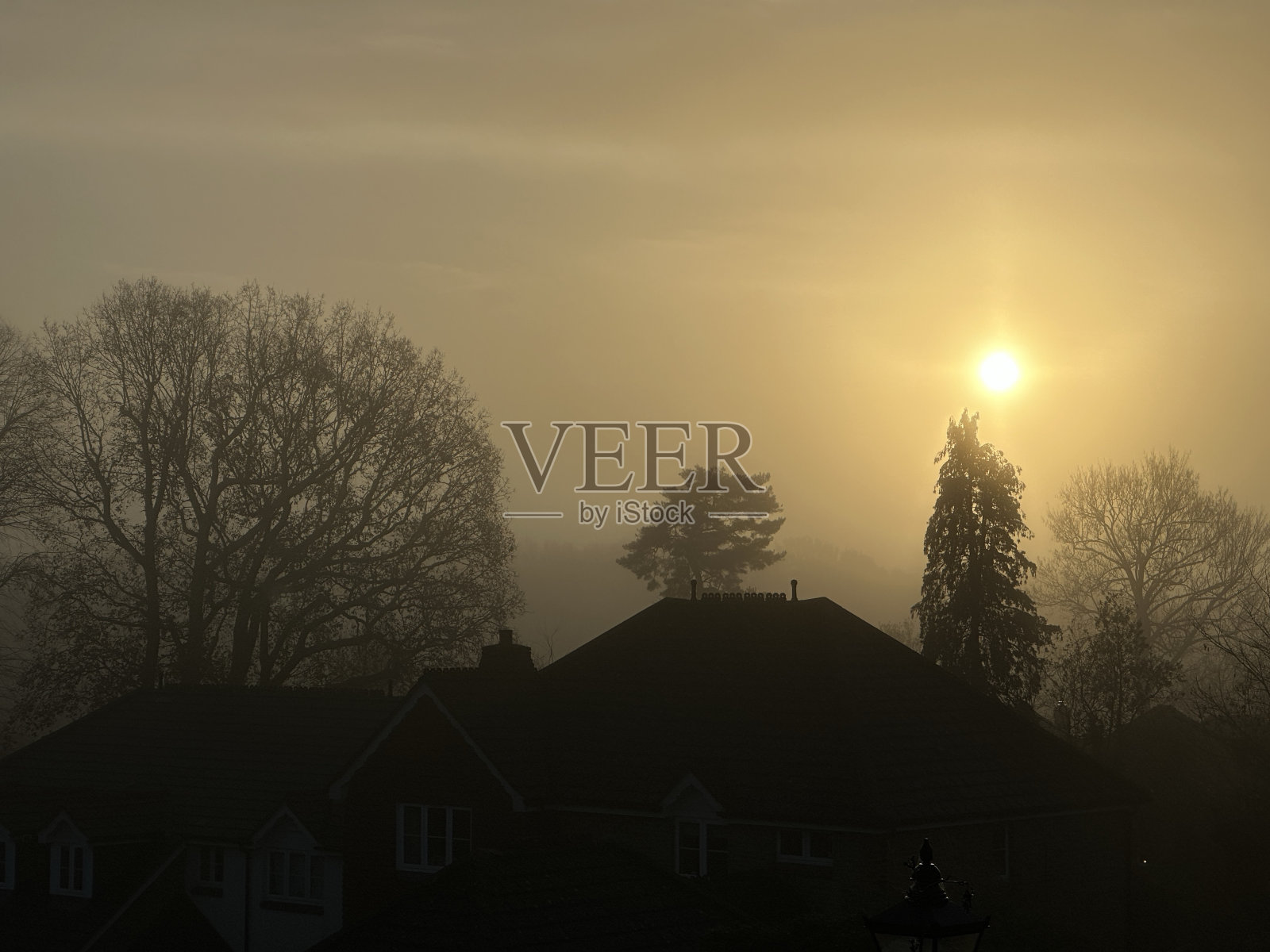 雾蒙蒙的清晨风景照片摄影图片