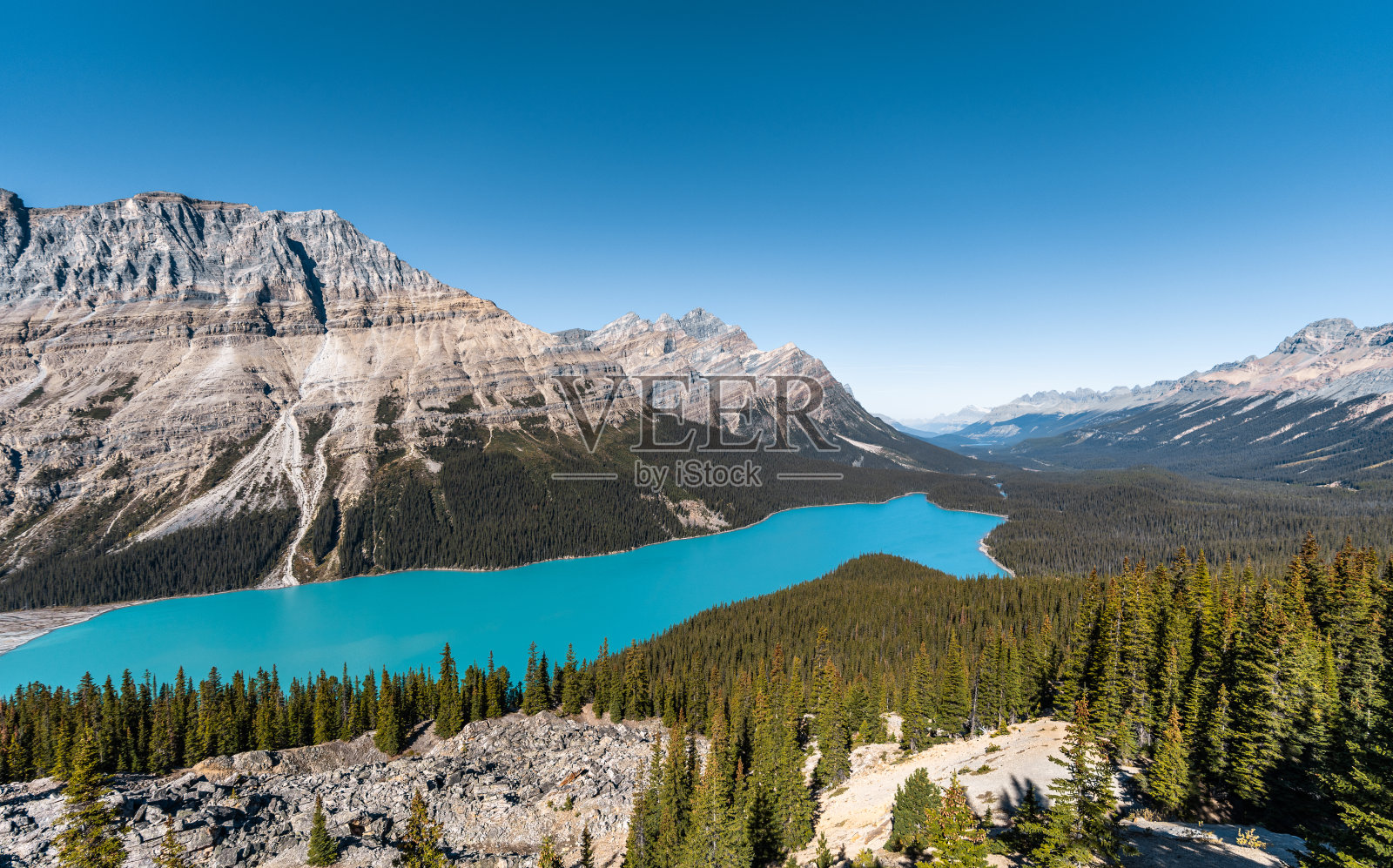 Peyto湖照片摄影图片