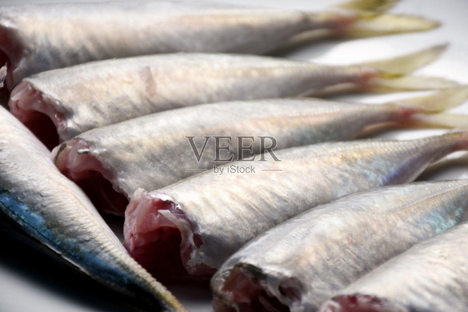 新鲜清洗过的鲭鱼照片摄影图片