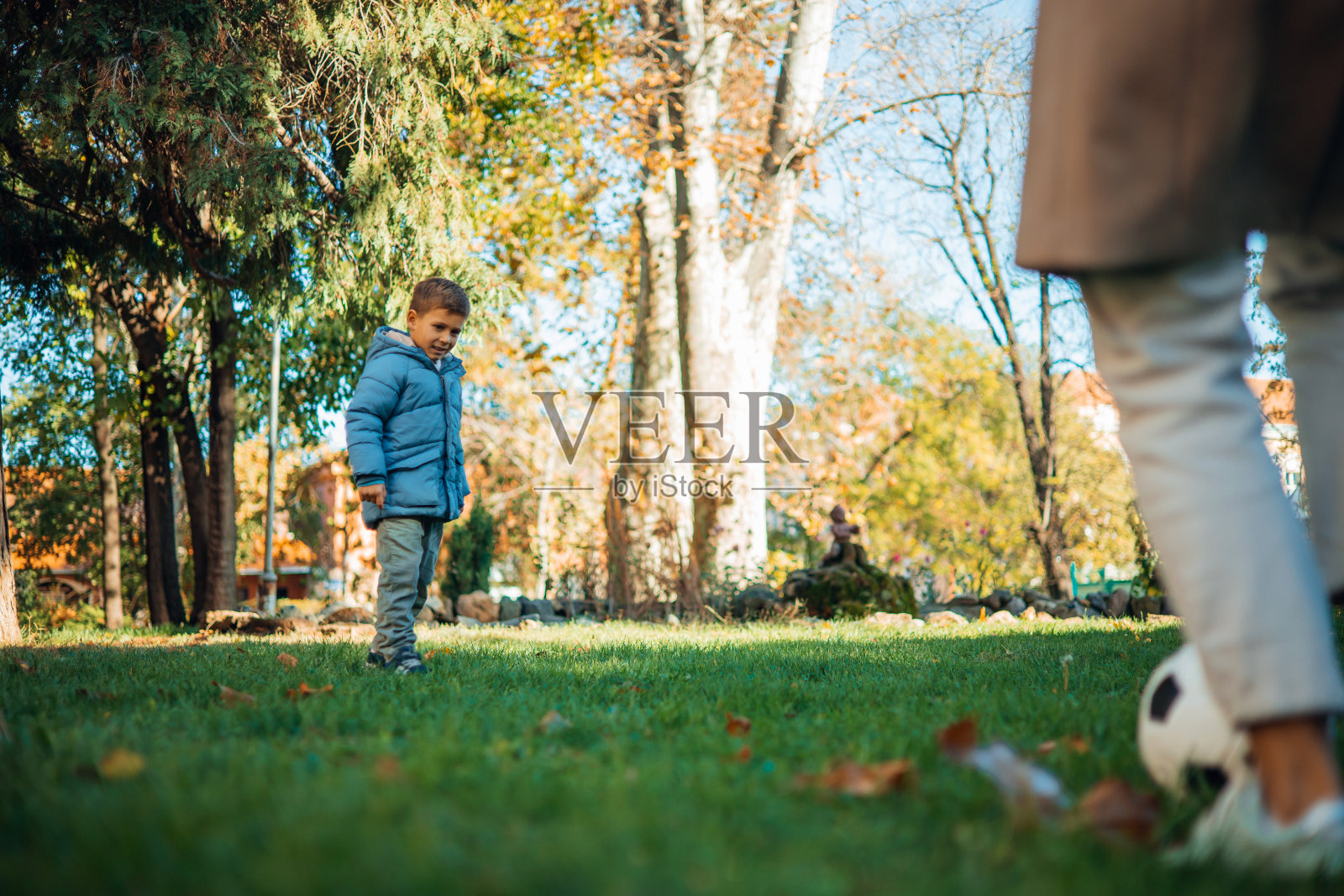 动态组合照片摄影图片