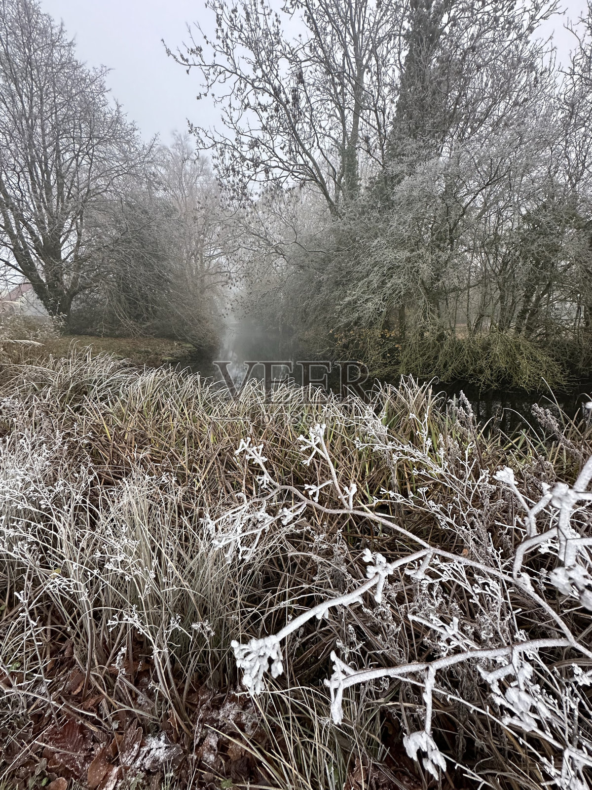 寒冷的早晨照片摄影图片