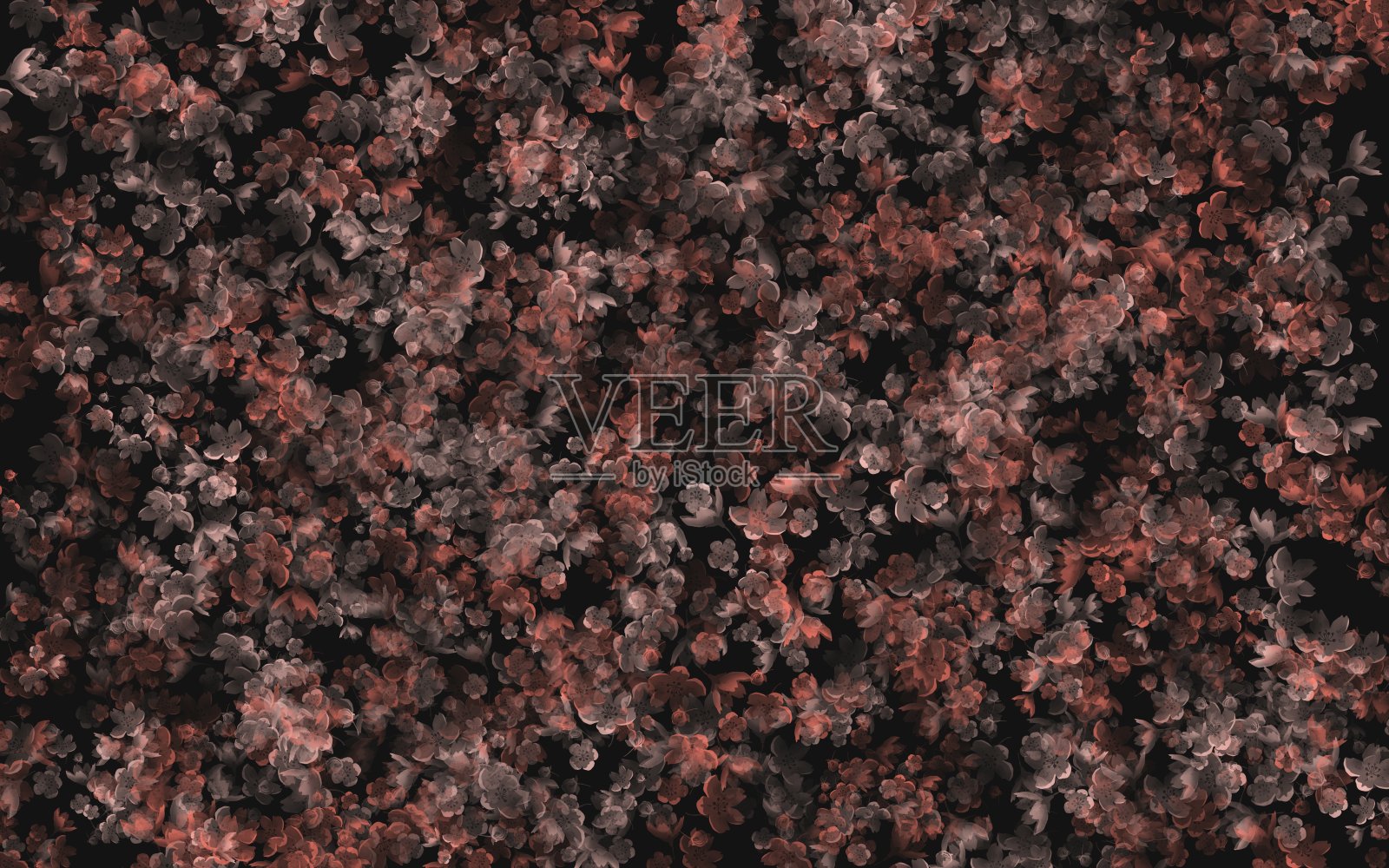 樱花背景照片摄影图片