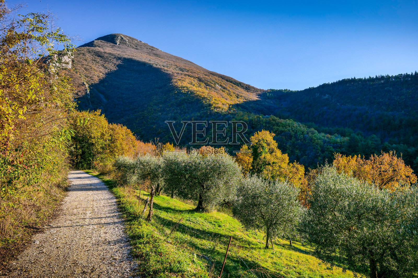 意大利中部翁布里亚山区一条被秋色树林环绕的乡间小路照片摄影图片