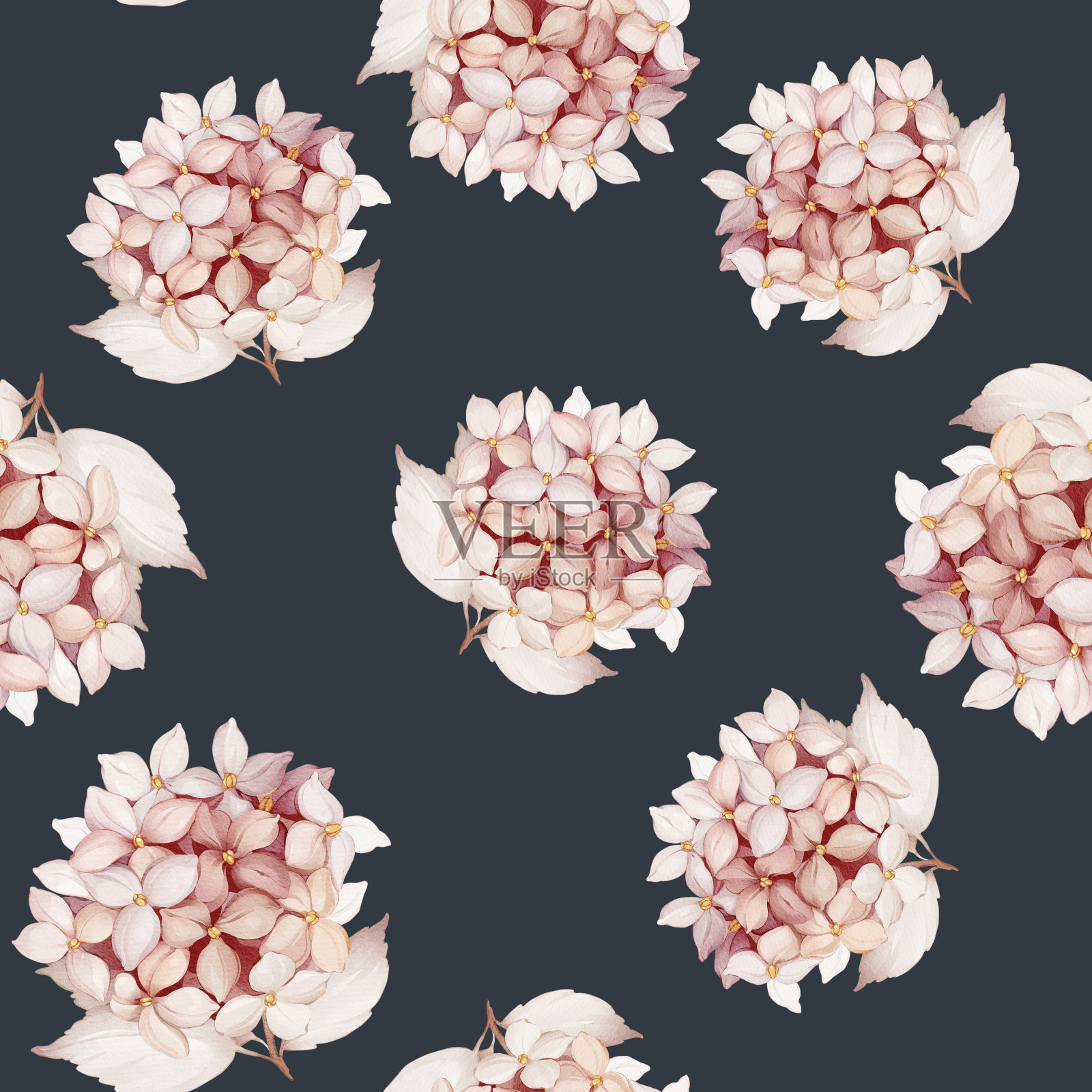 无缝图案与绣球水彩风格插画图片素材