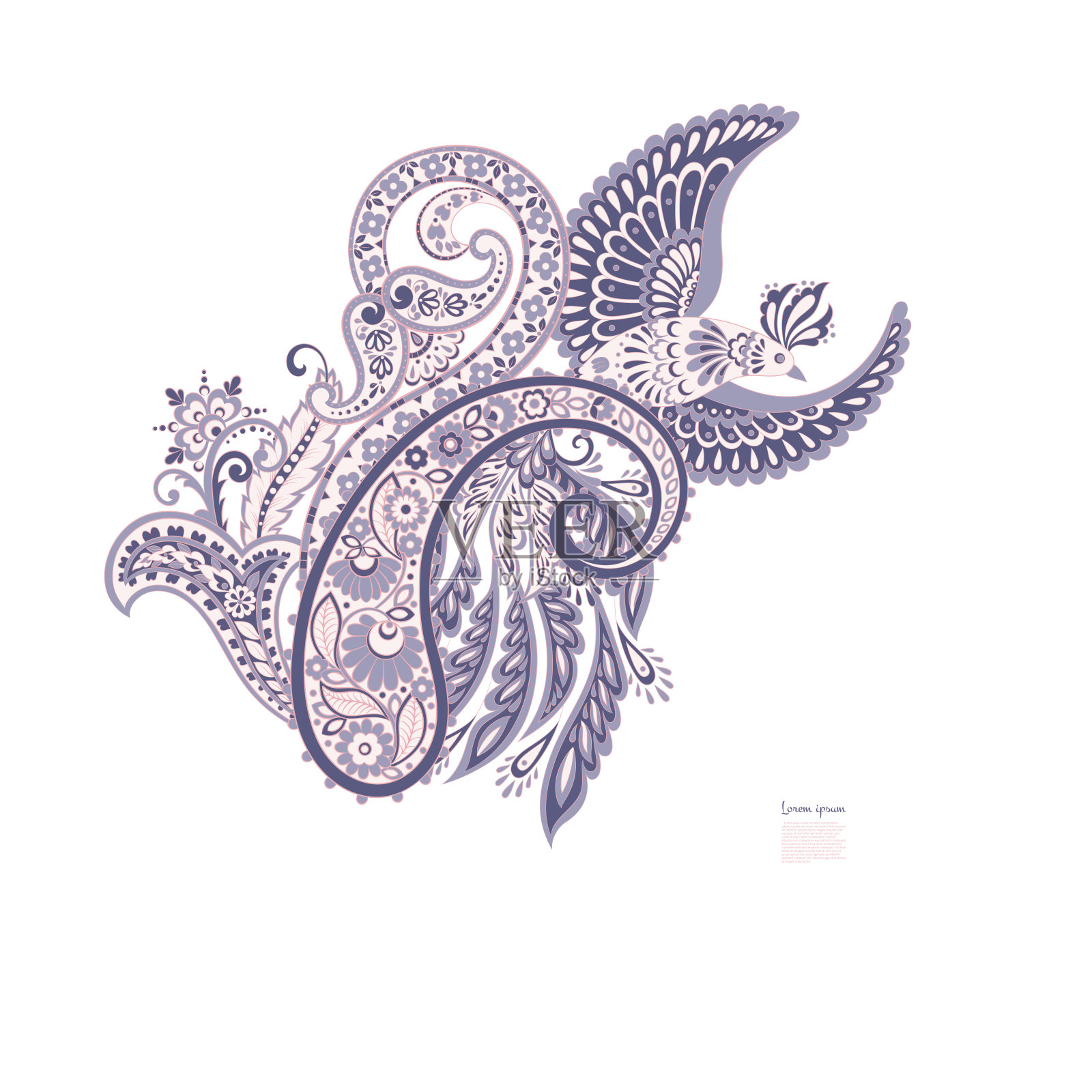 飞禽图案的佩斯利矢量。锦缎风格复古插图插画图片素材