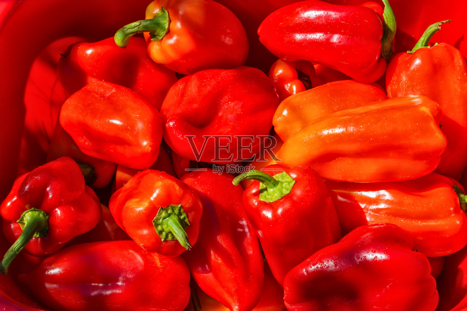 背景与新鲜辣椒在夏季花园，在农村照片摄影图片