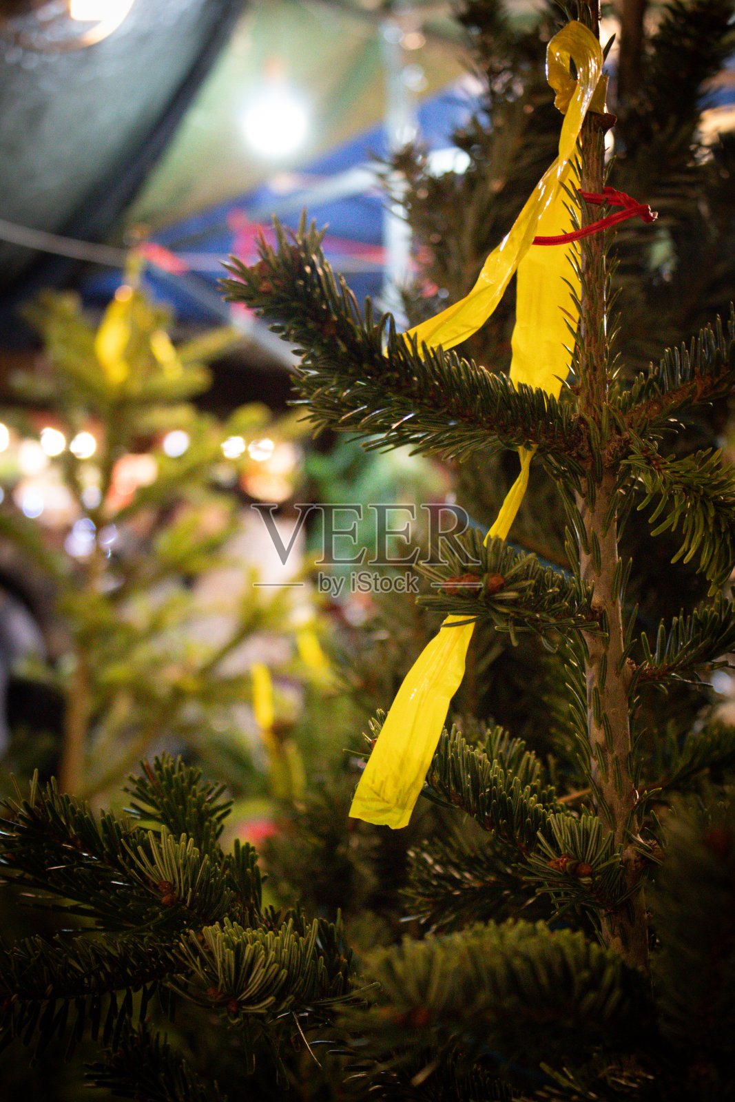 美丽的圣诞装饰照片摄影图片