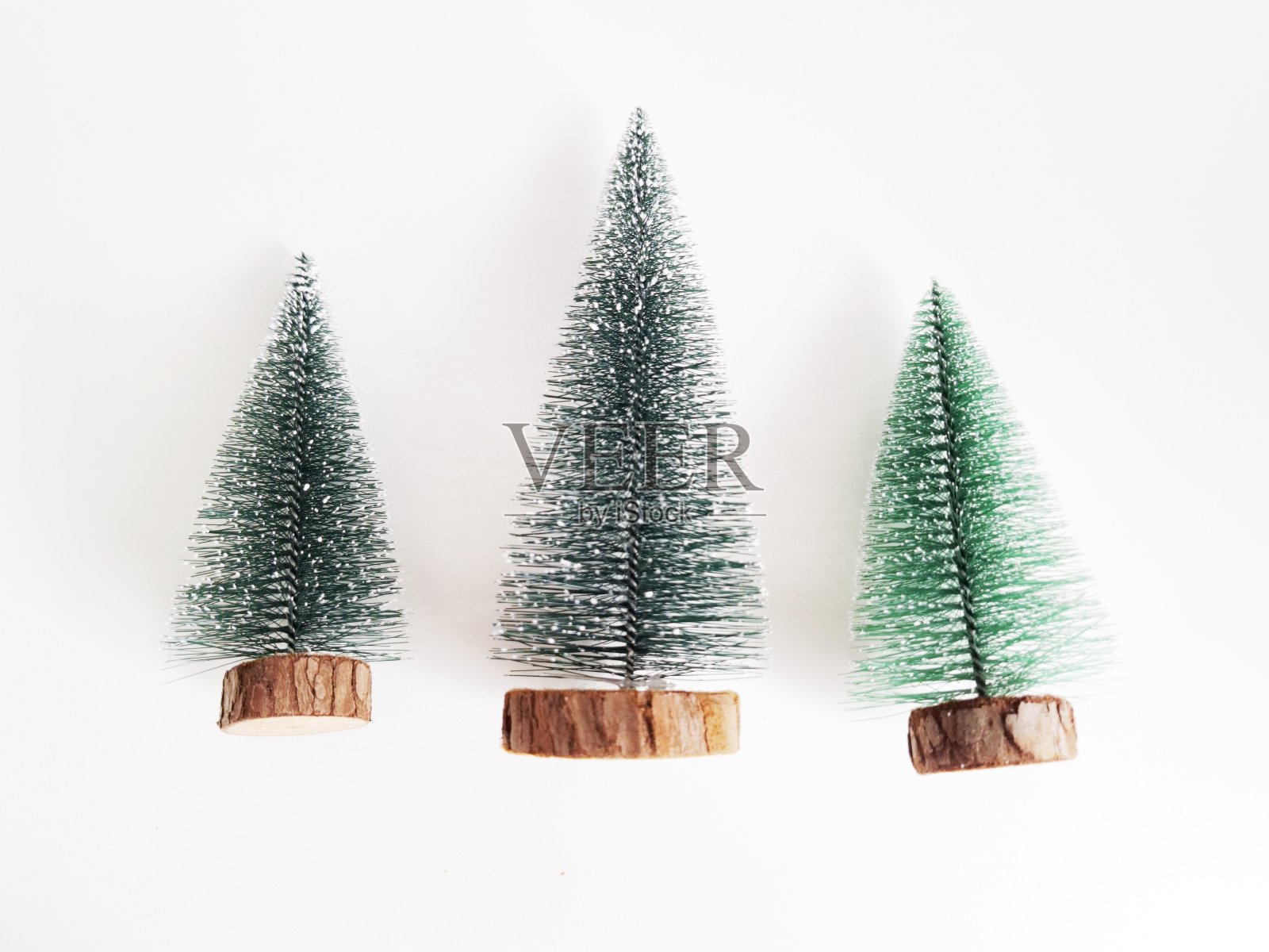 装饰青松照片摄影图片