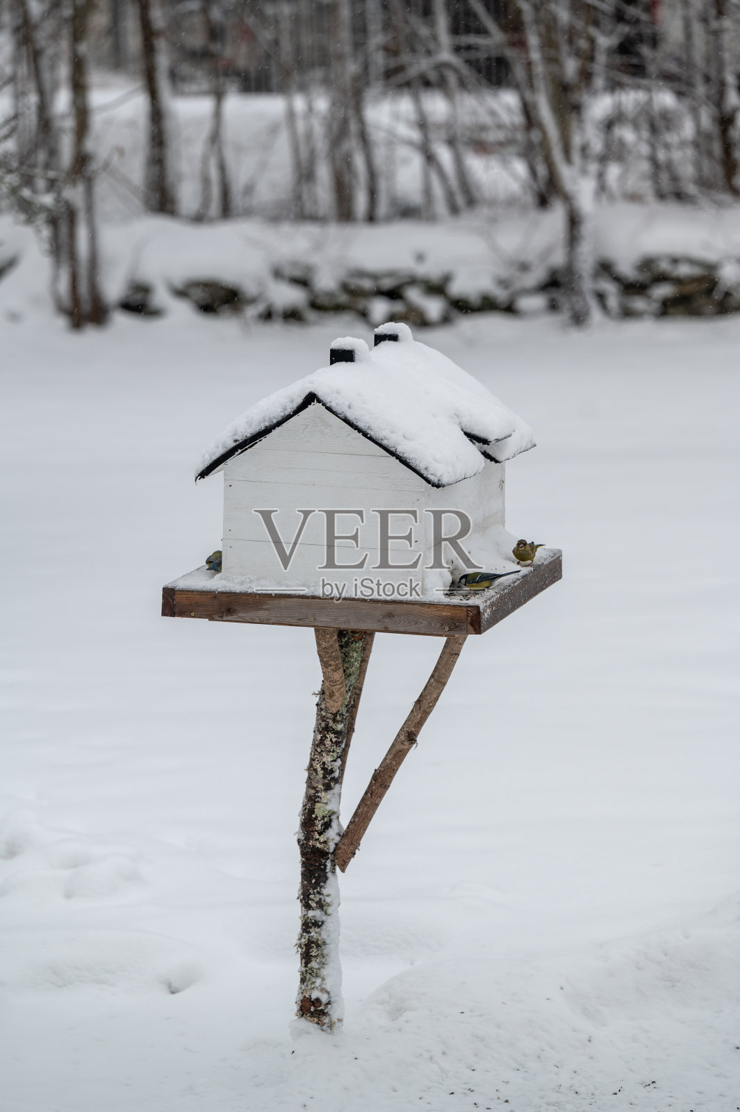 一个寒冷的冬日，小鸟喂食器微型房子照片摄影图片