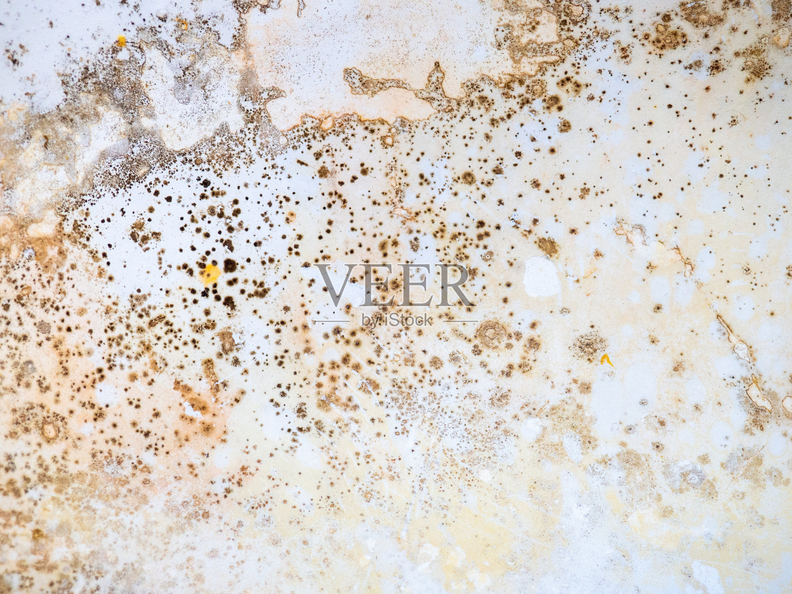 白色浴室珐琅上的棕色霉菌。细菌屋概念。照片摄影图片