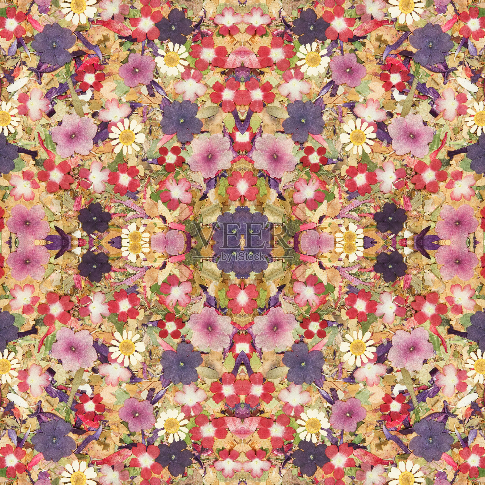 花。无缝模式。点缀。拼贴，装饰从花。无缝图案拼贴棉织物。用于网页设计。用于墙纸，t恤，亚麻布或包装，纺织品印刷照片摄影图片