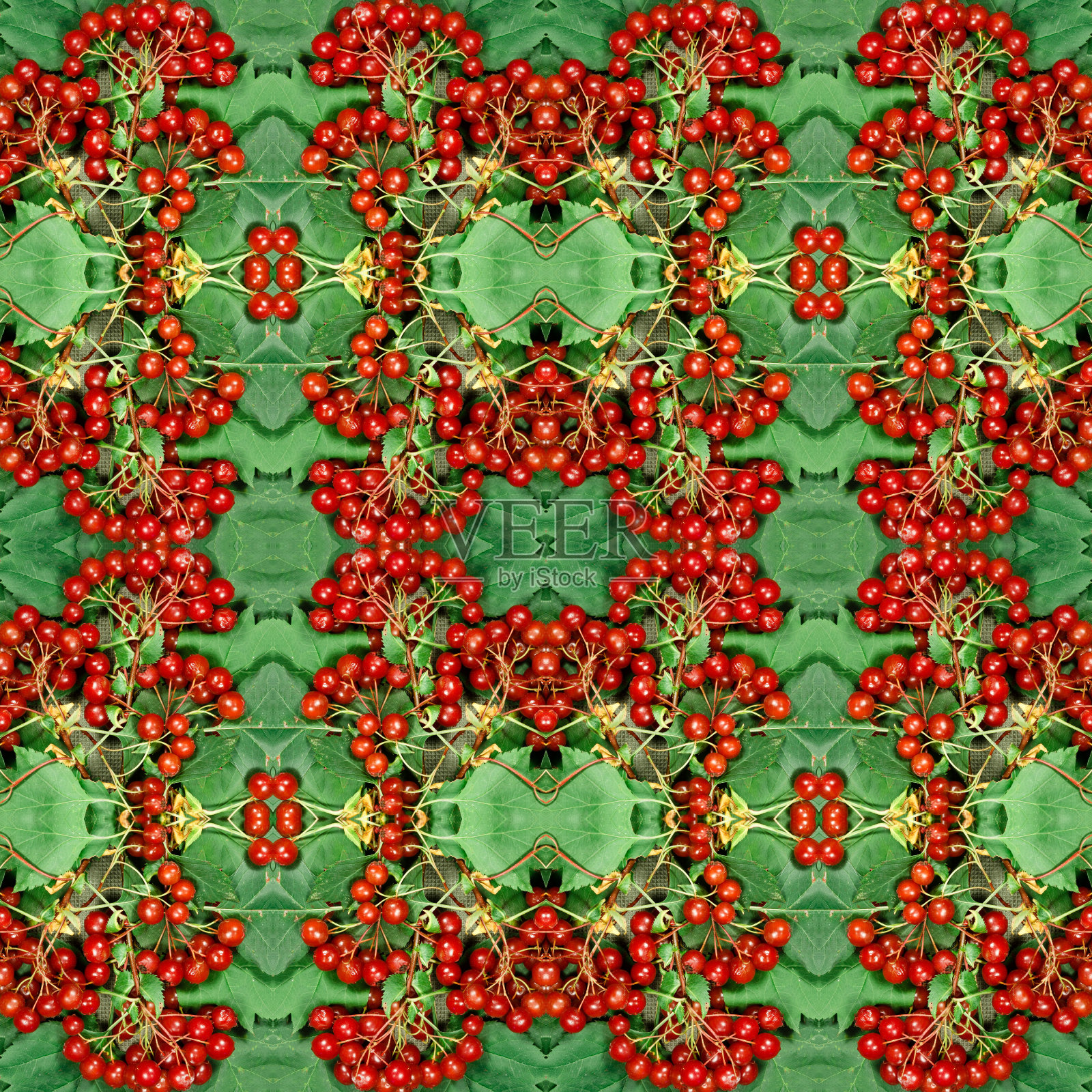 植物。无缝模式。浆果和山楂叶的装饰品。无缝图案拼贴棉织物。用于网页设计。用于墙纸，t恤，亚麻布或包装，纺织品印刷照片摄影图片