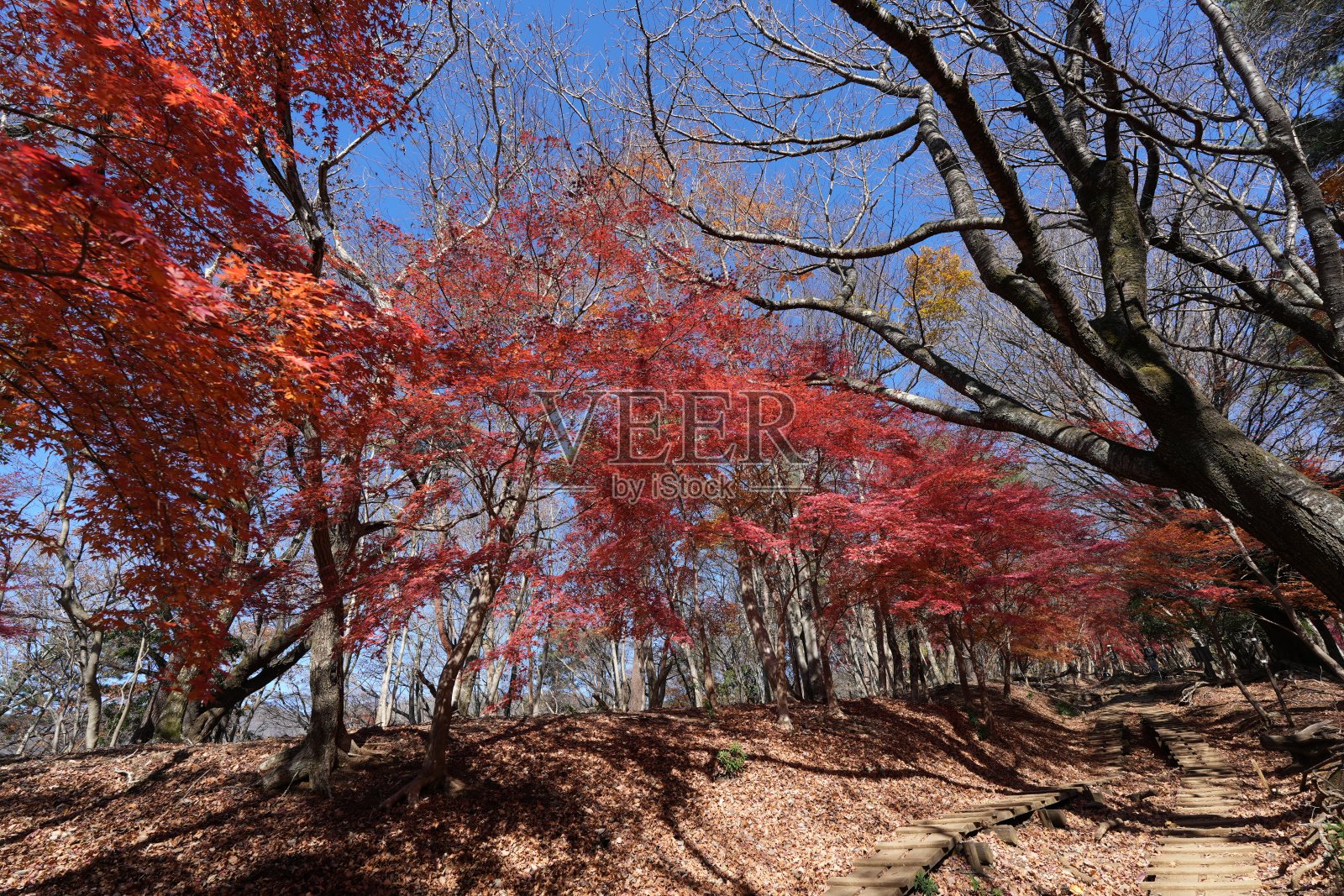 山,照片摄影图片