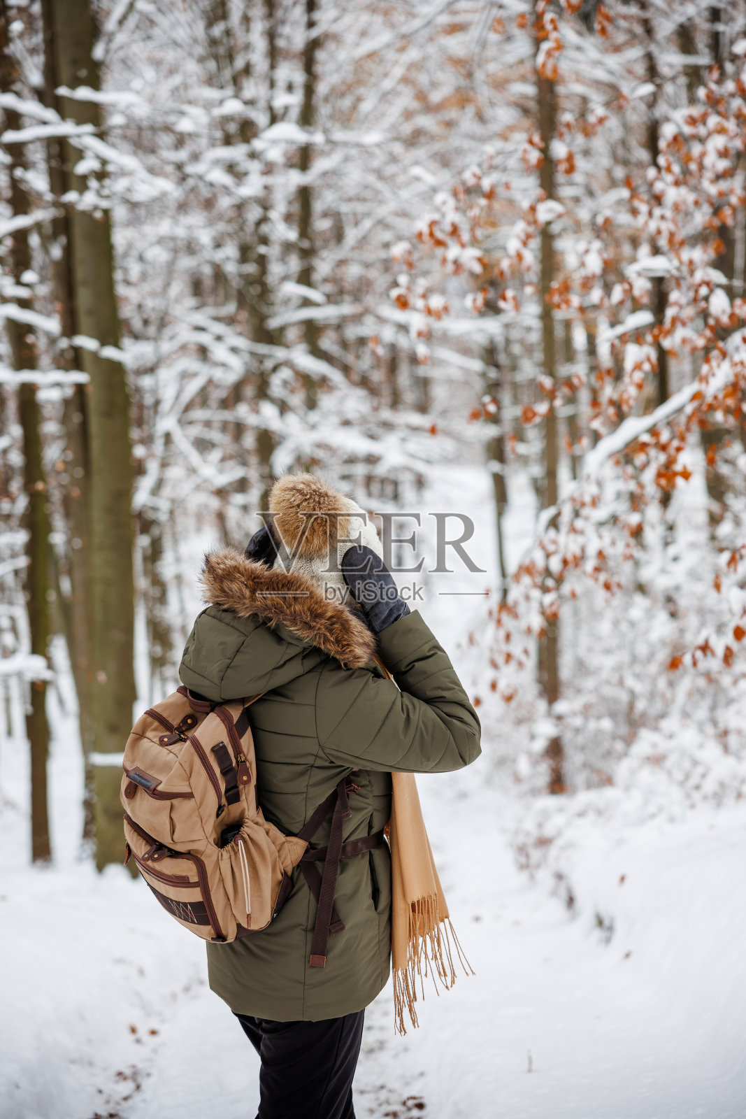 穿着大衣，戴着针织帽和连指手套的妇女在冬季森林的雪地里徒步旅行照片摄影图片